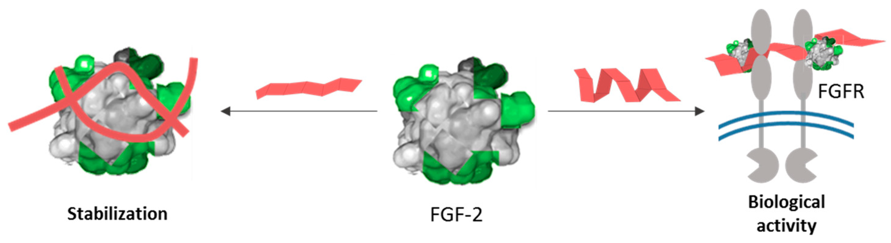 Polymers 13 00313 g010 Polymers 13 00313 g010