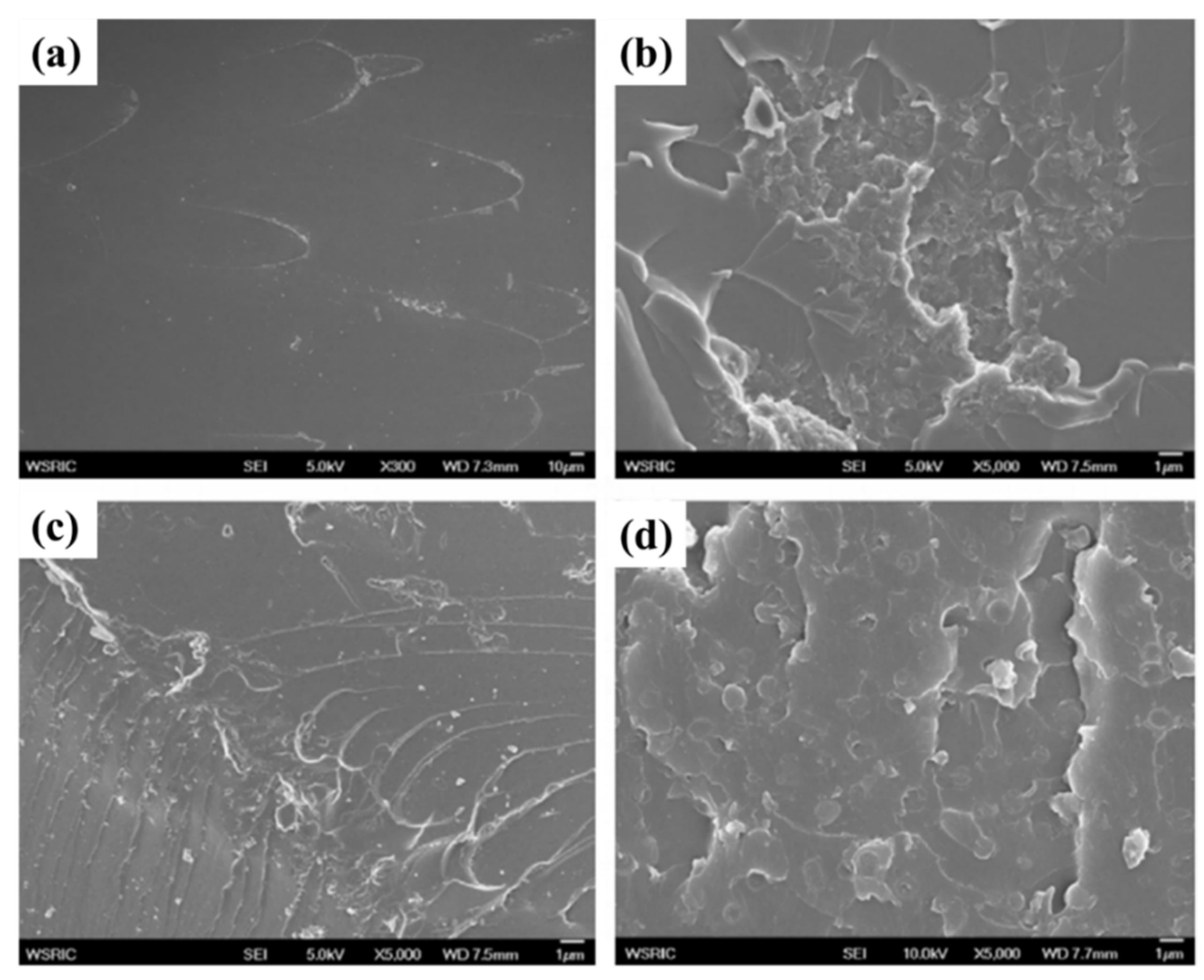 Polymers 13 00320 g007 Polymers 13 00320 g007