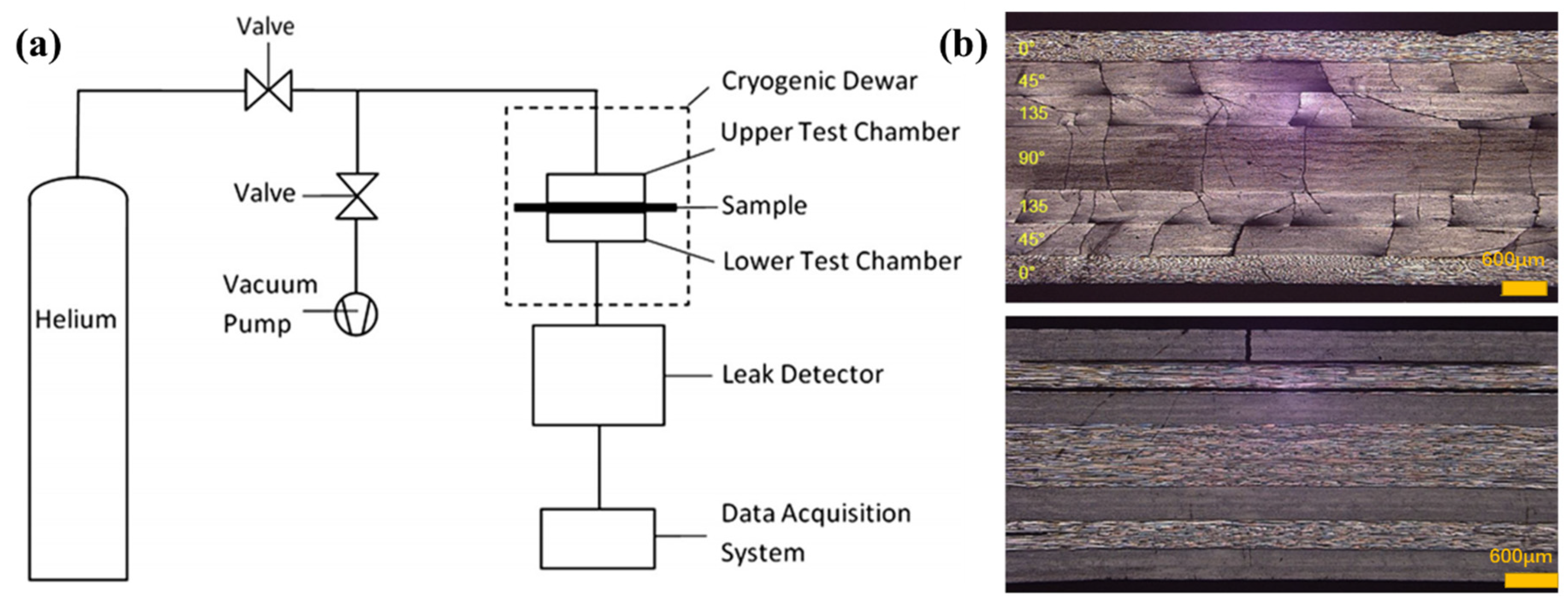 Polymers 13 00320 g009 Polymers 13 00320 g009