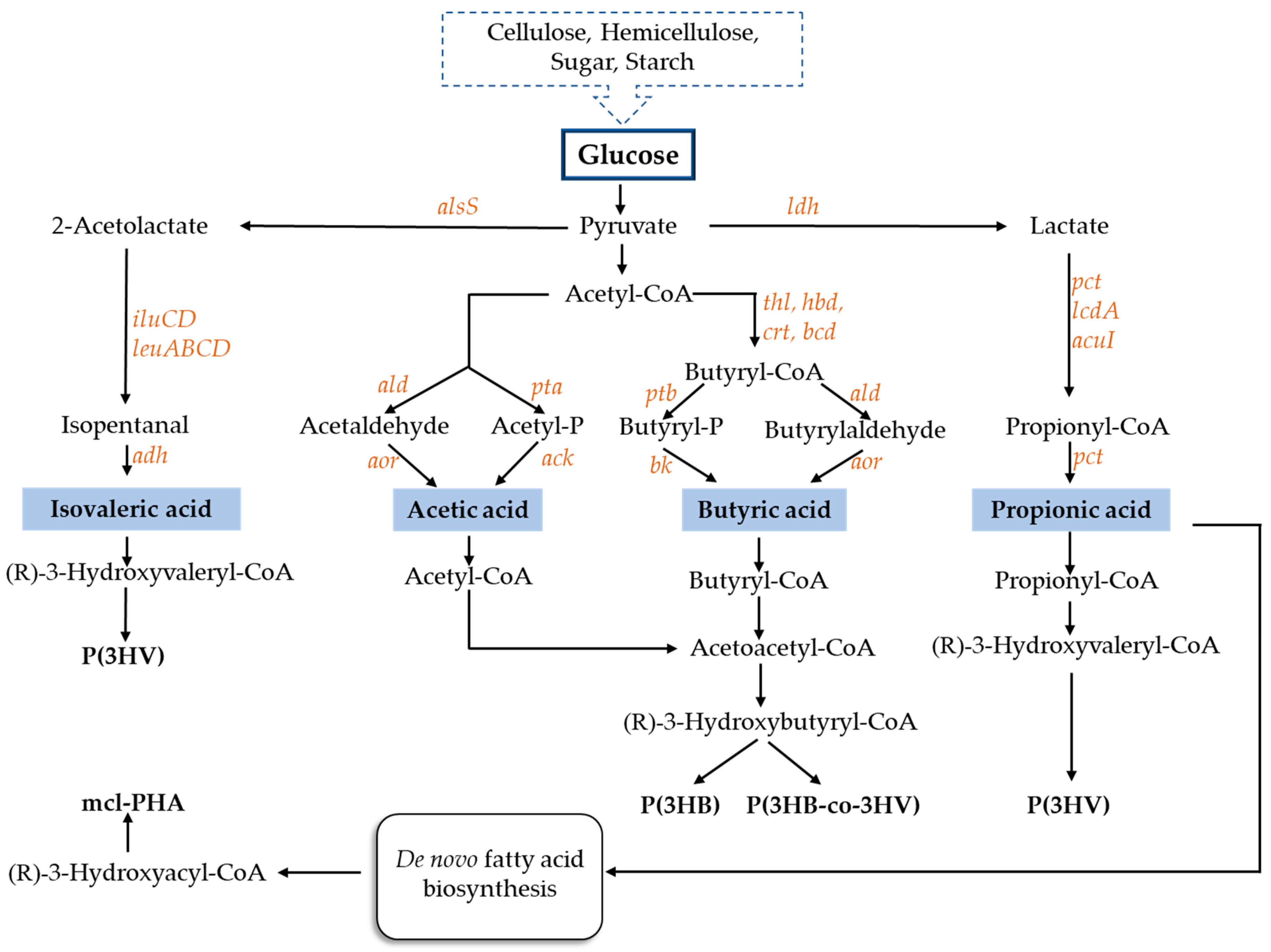 Polymers 13 00321 g001 Polymers 13 00321 g001