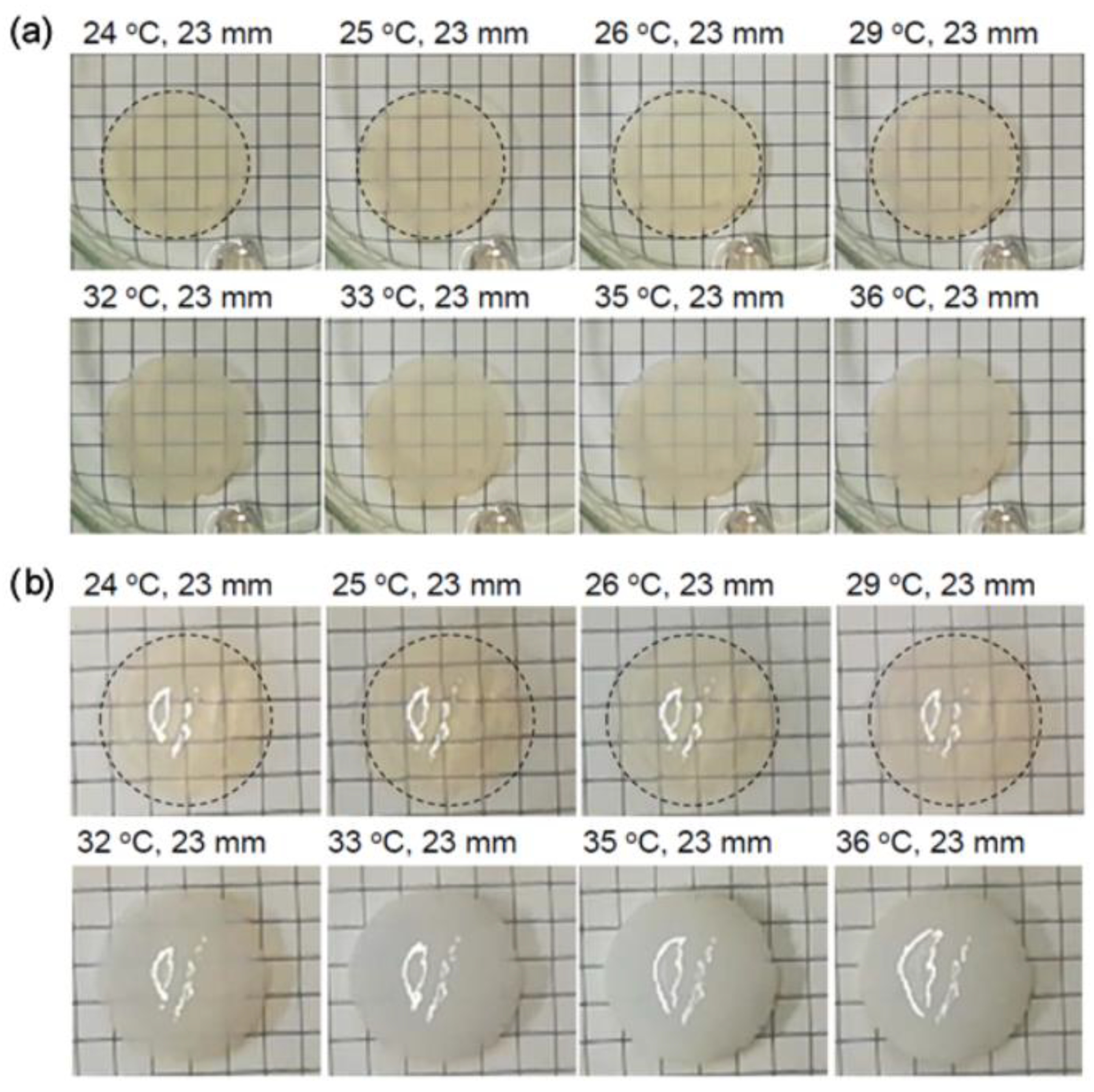 Polymers 13 00329 g001