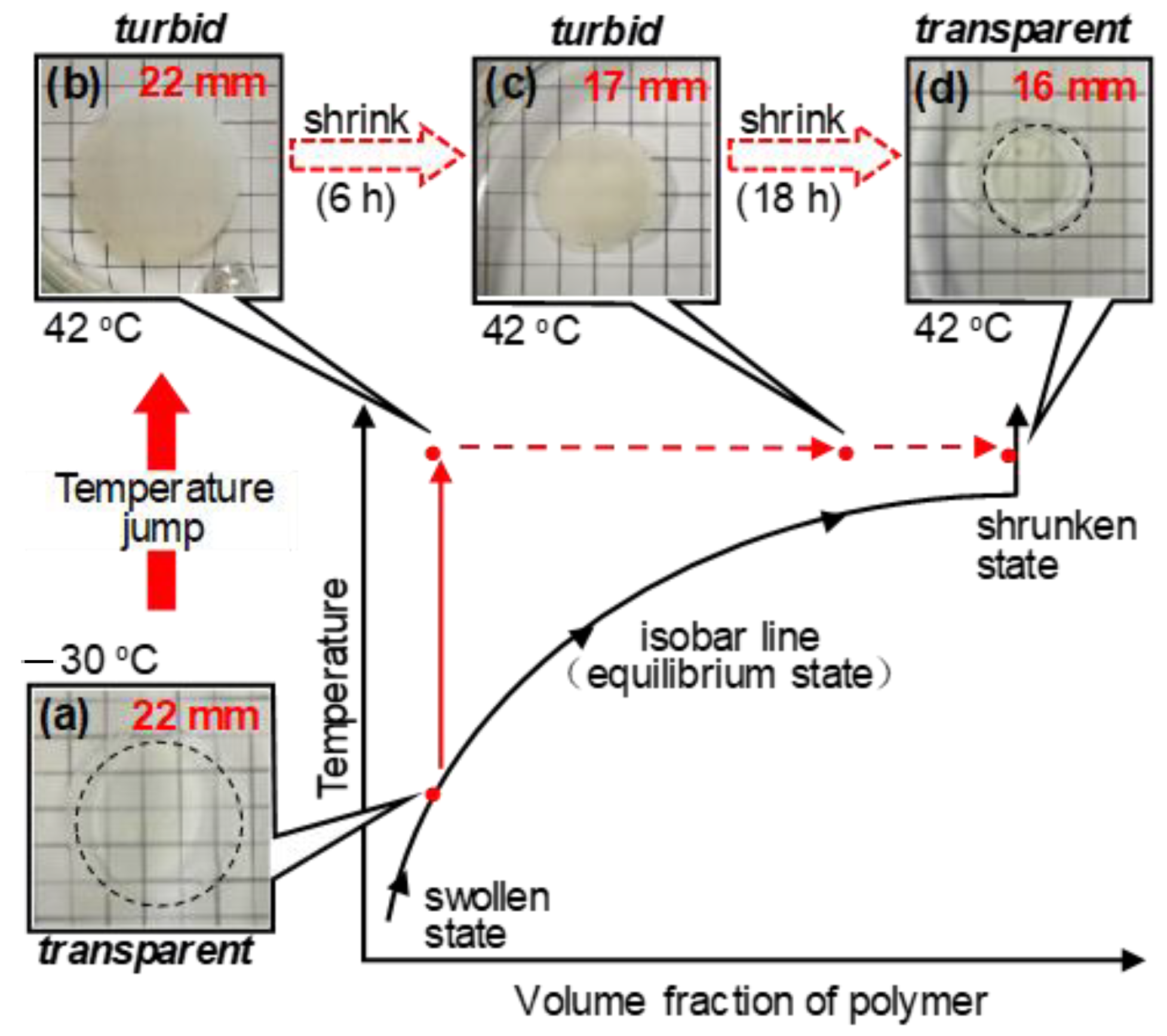 Polymers 13 00329 g003