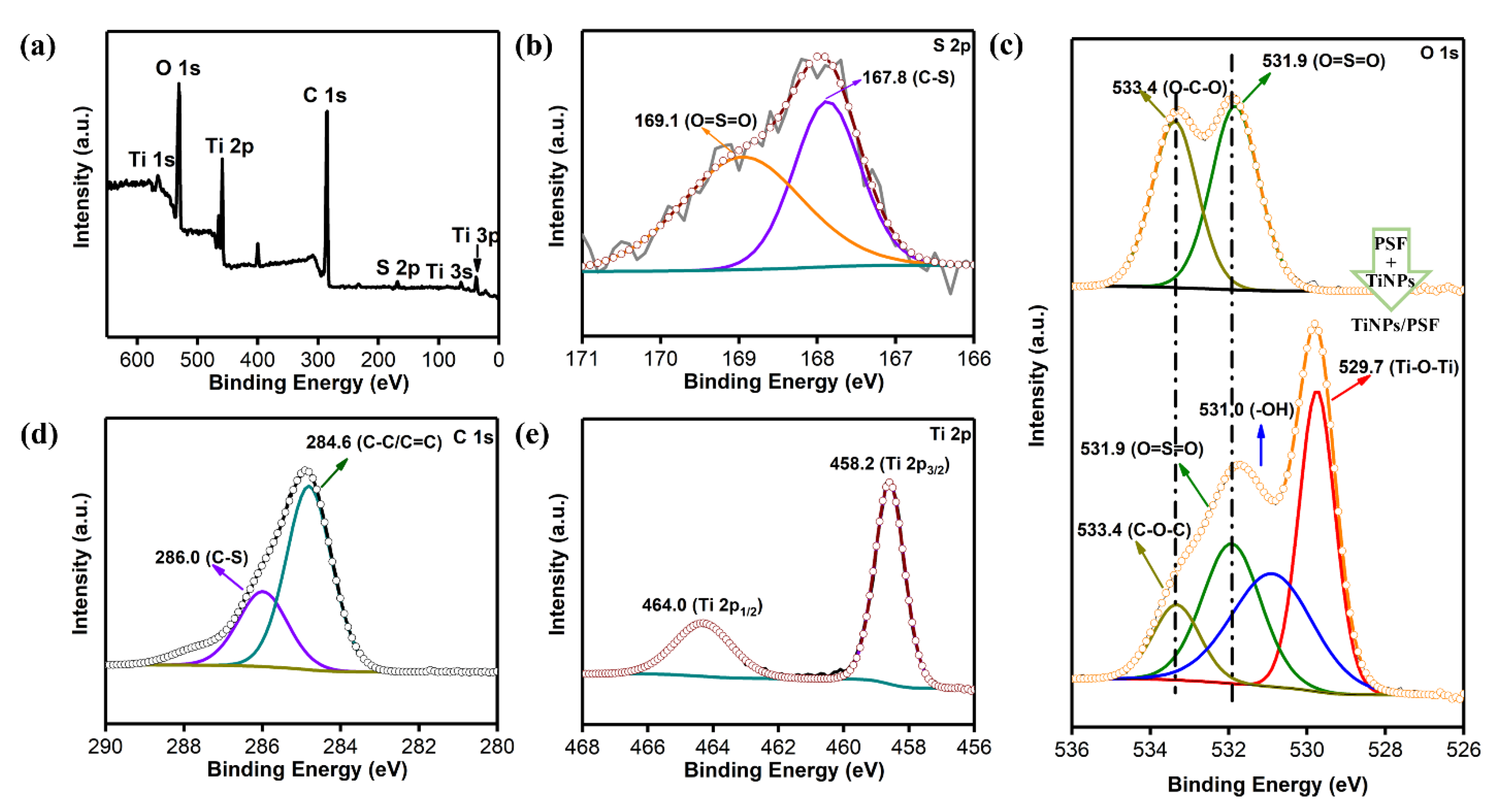 Polymers 13 00336 g003