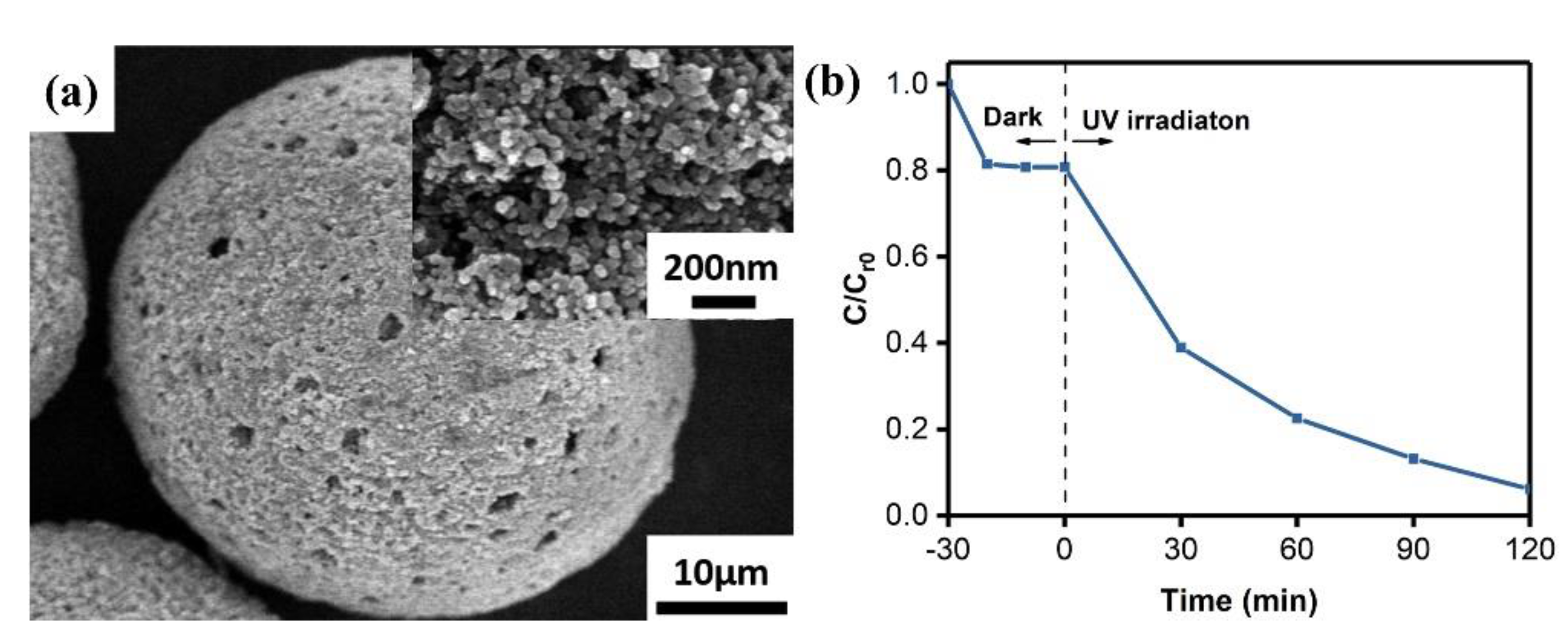 Polymers 13 00336 g009