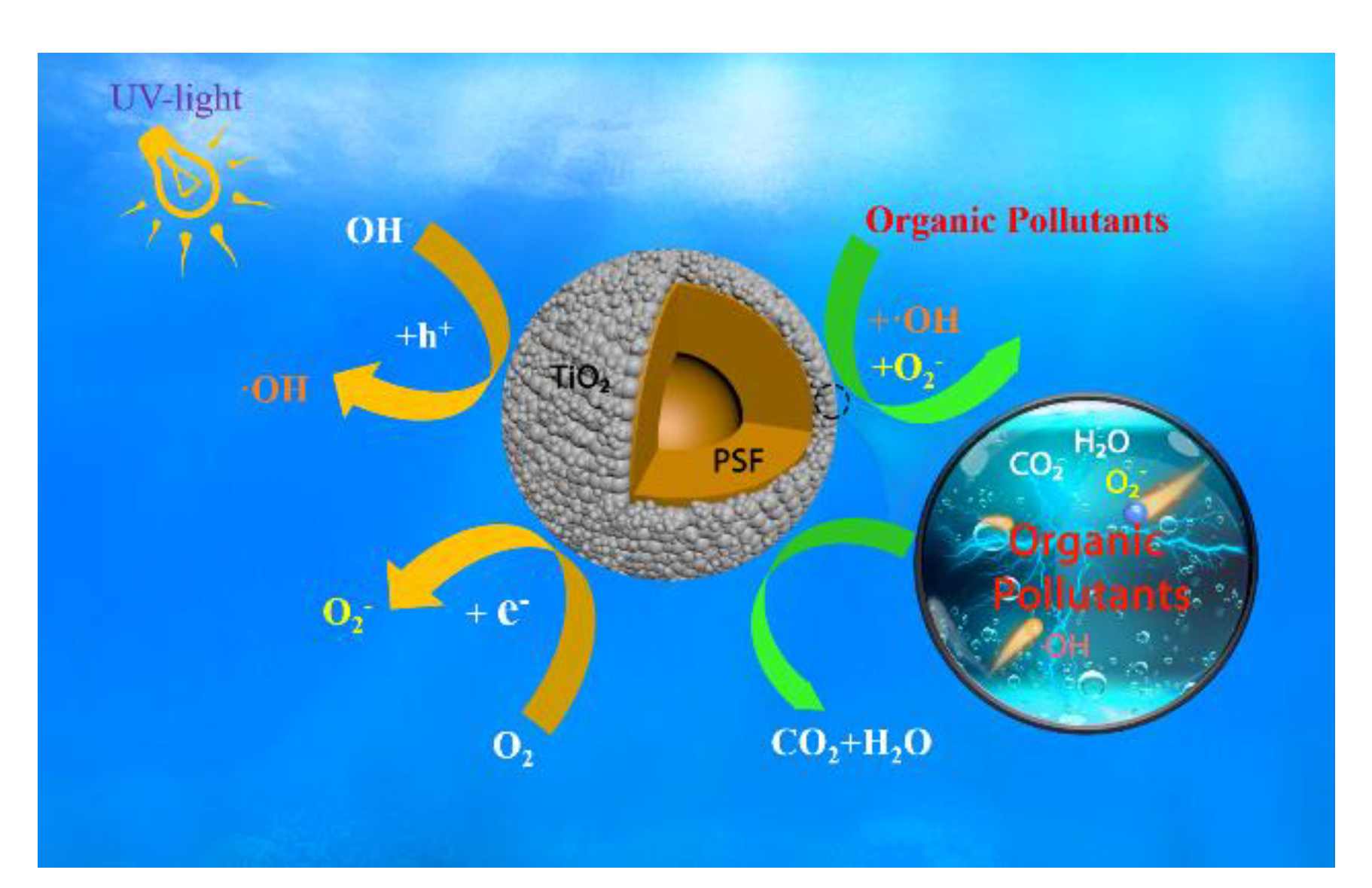 Polymers 13 00336 sch002