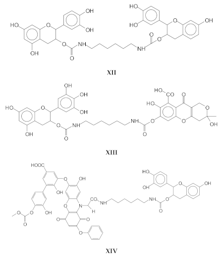 Polymers 13 00372 i006
