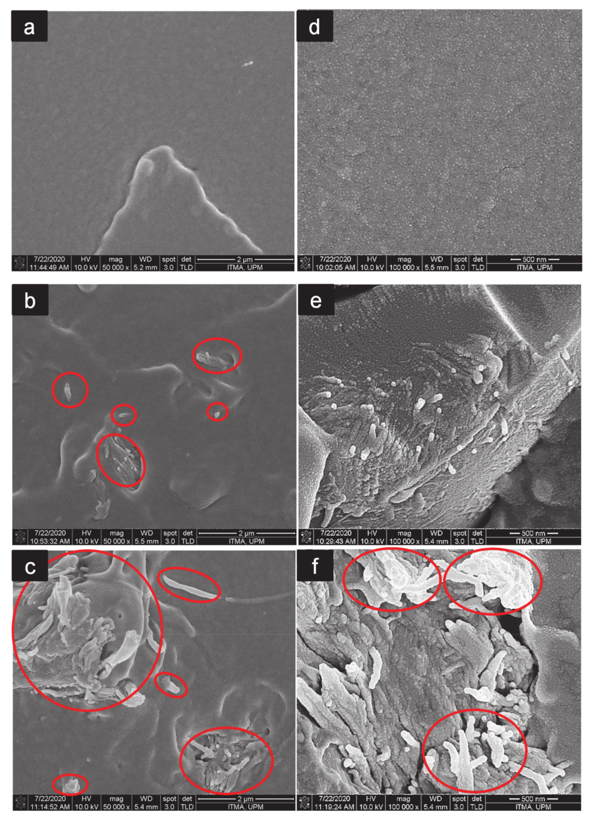 Polymers 13 00389 g007
