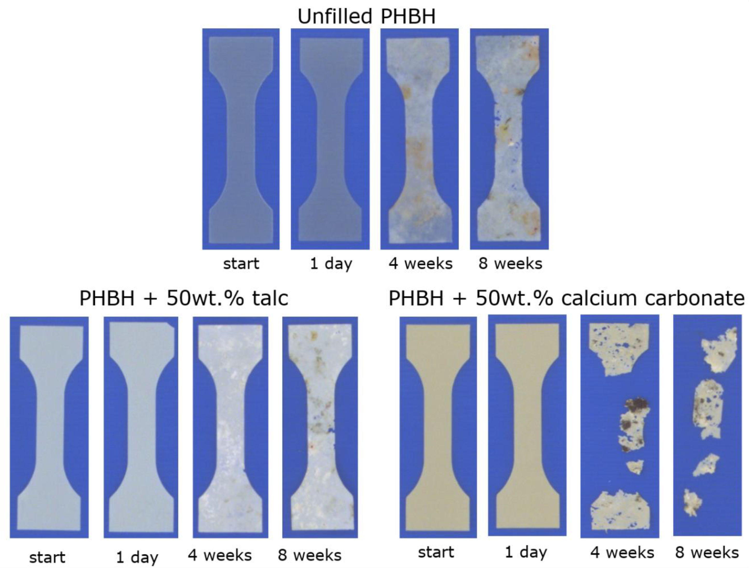 Polymers 13 00394 g007