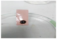 Polymers 13 00441 i007 Polymers 13 00441 i007