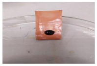 Polymers 13 00441 i013 Polymers 13 00441 i013