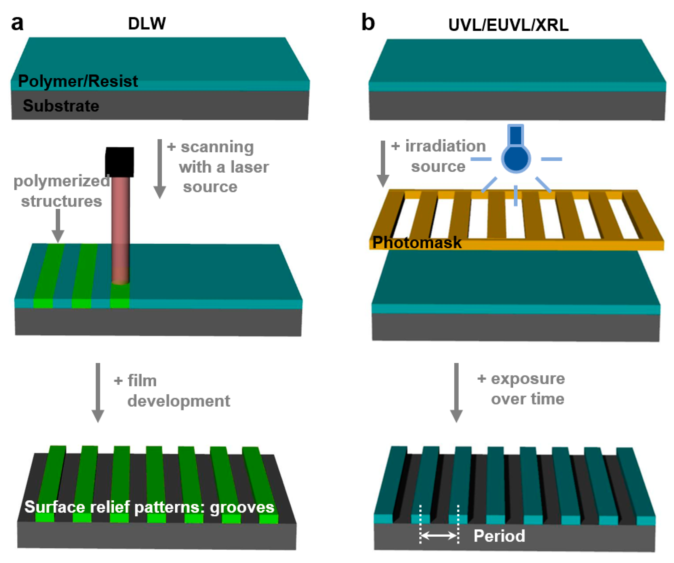 Polymers | Free Full-Text | Multifunctional Structured Platforms: From ...