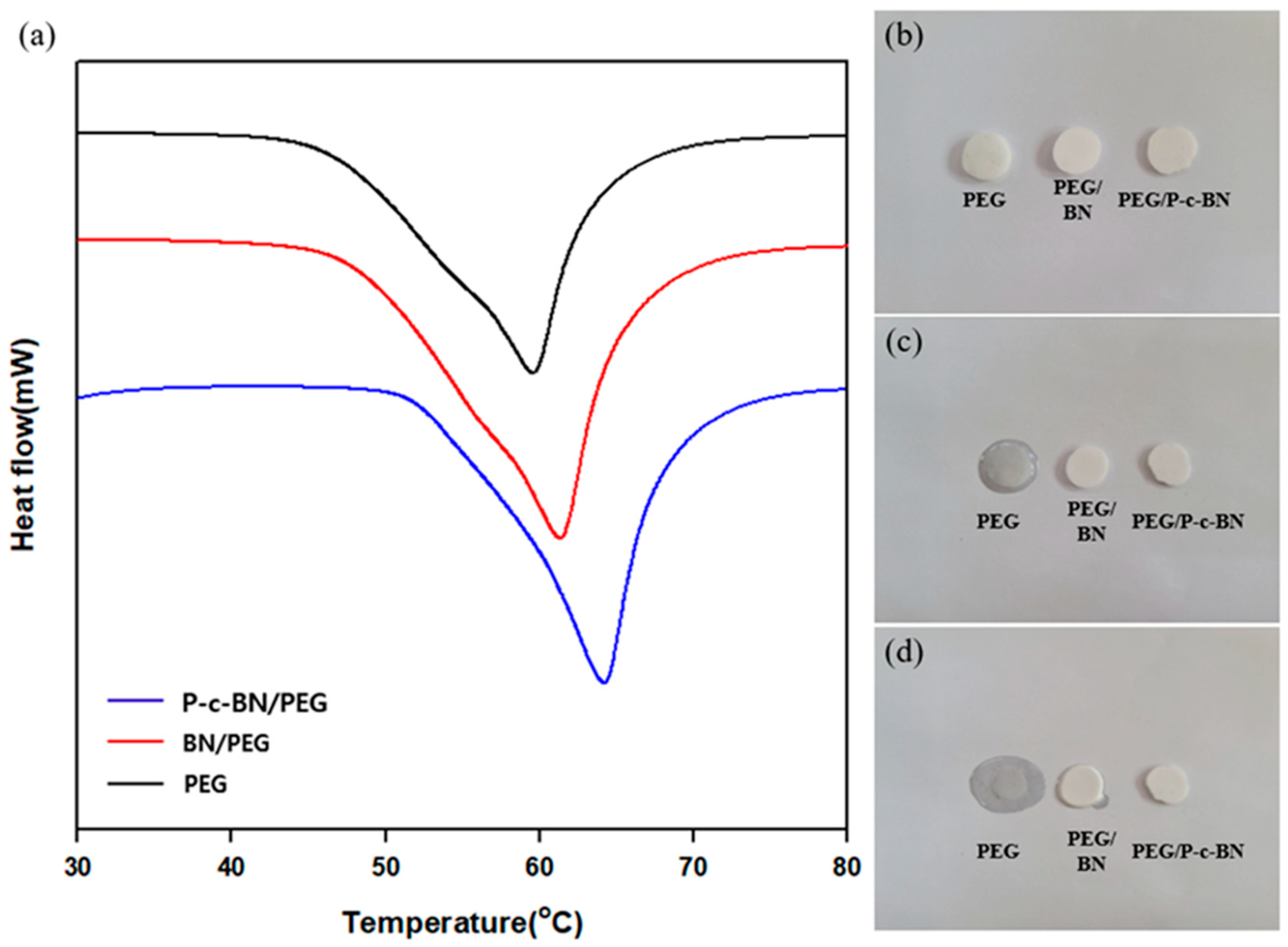 Polymers 13 00456 g006