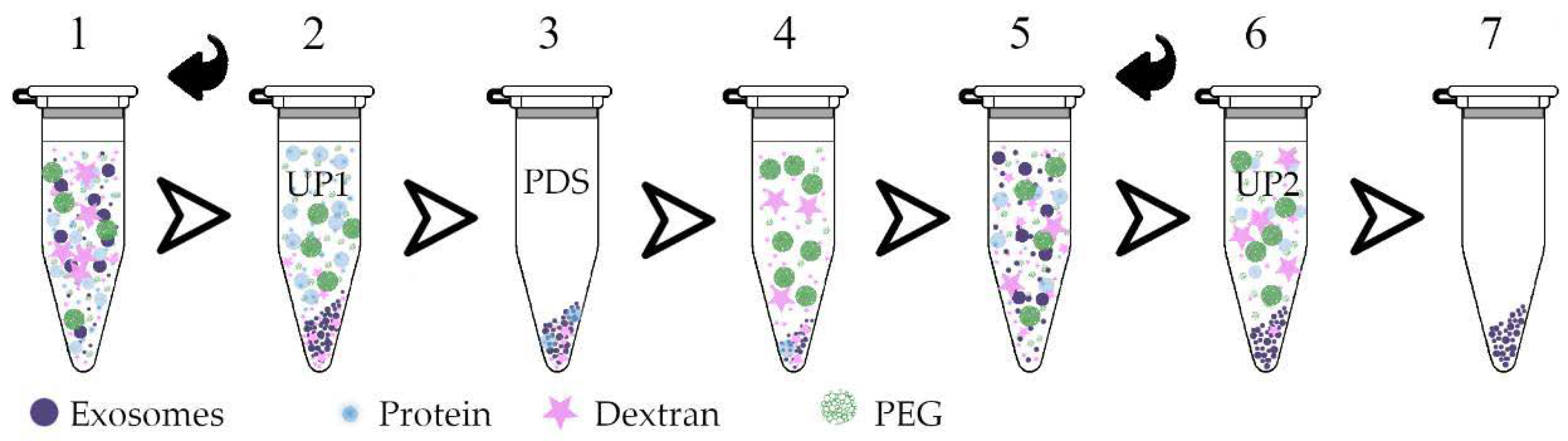 Polymers 13 00458 g002 Polymers 13 00458 g002