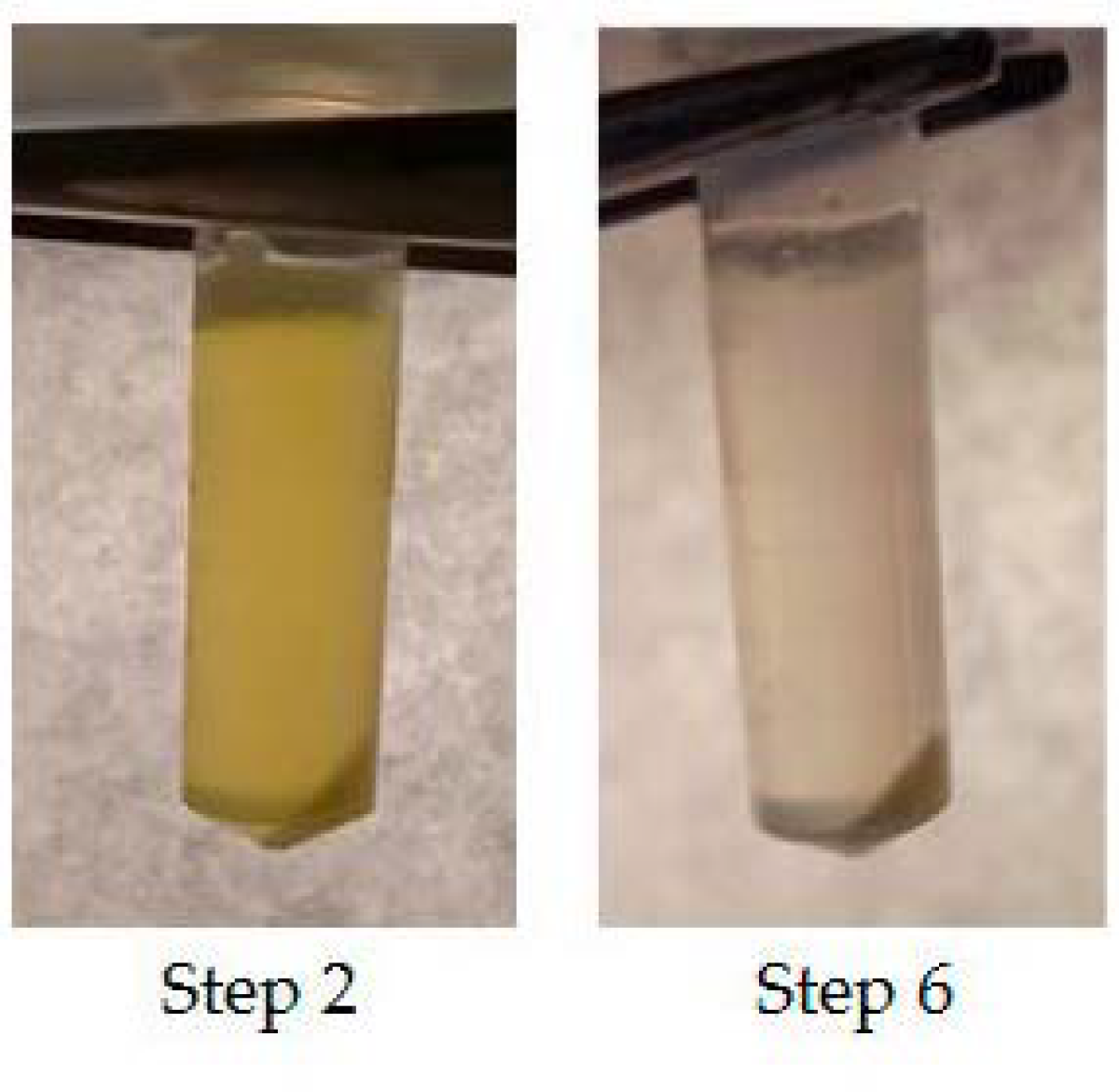 Polymers 13 00458 g003 Polymers 13 00458 g003
