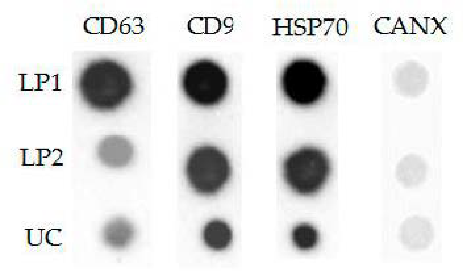 Polymers 13 00458 g009 Polymers 13 00458 g009
