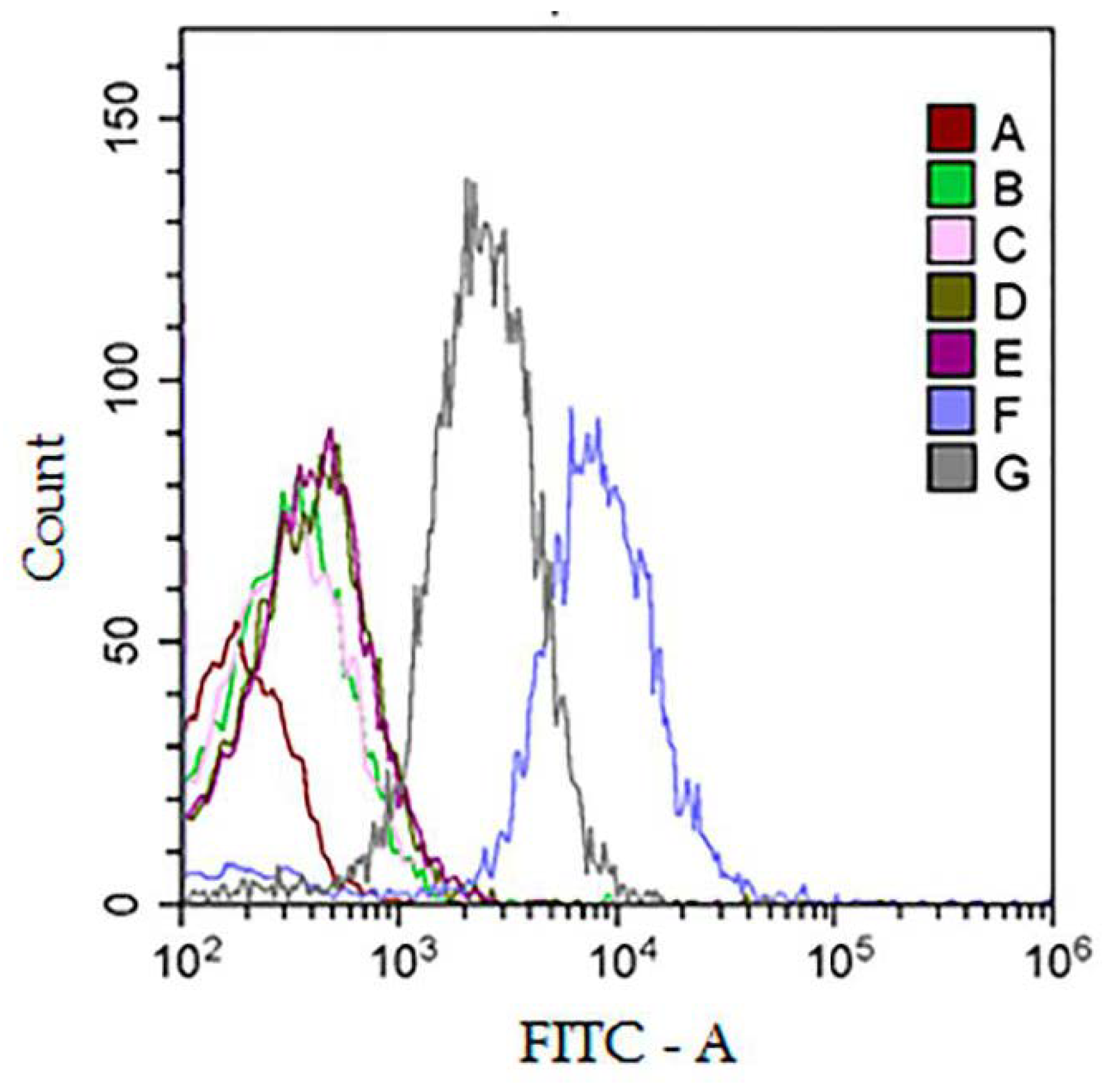 Polymers 13 00458 g010 Polymers 13 00458 g010