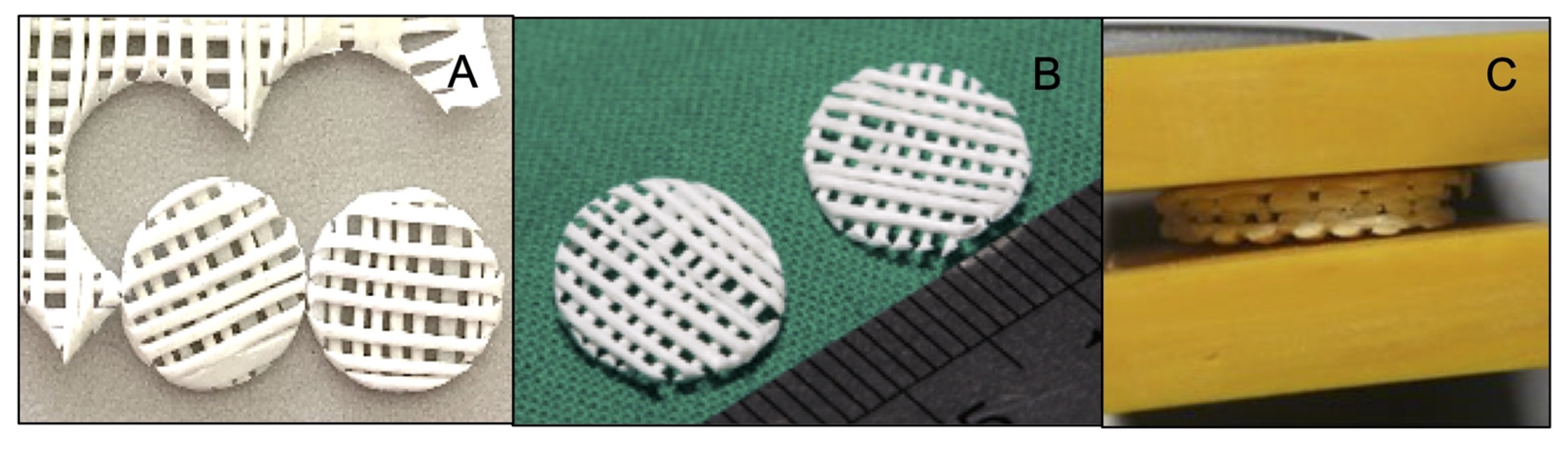 Polymers 13 00466 g001