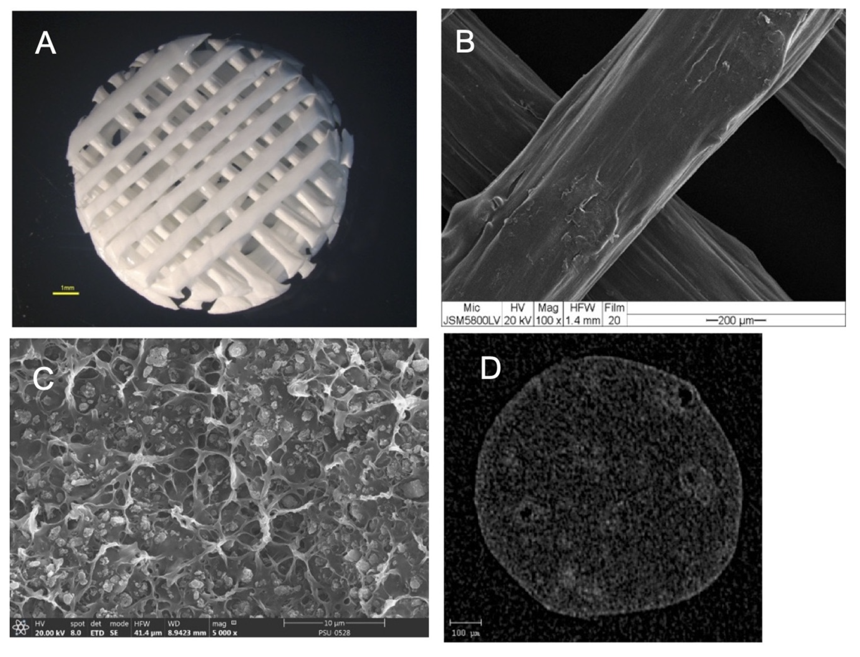 Polymers 13 00466 g004