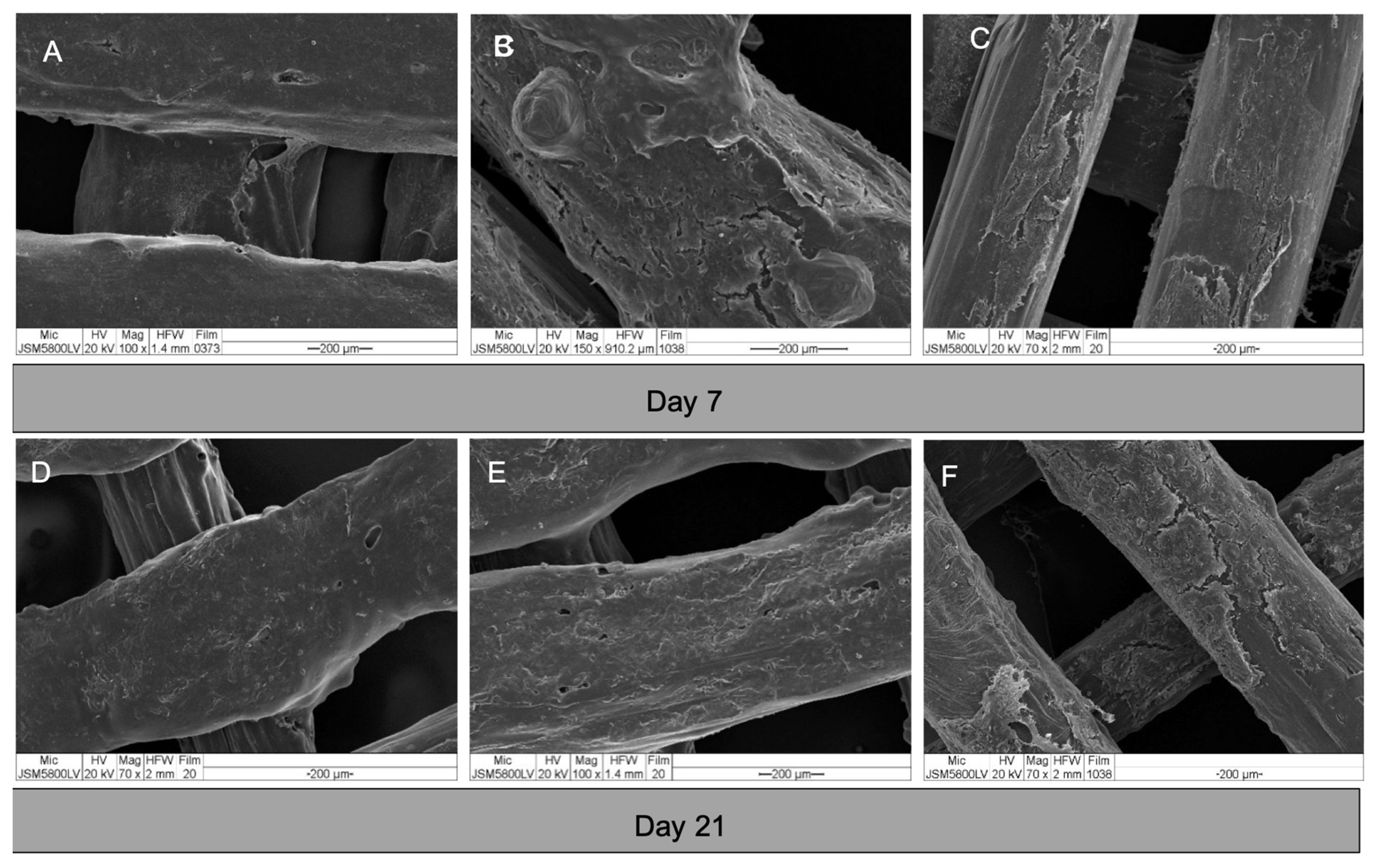 Polymers 13 00466 g007