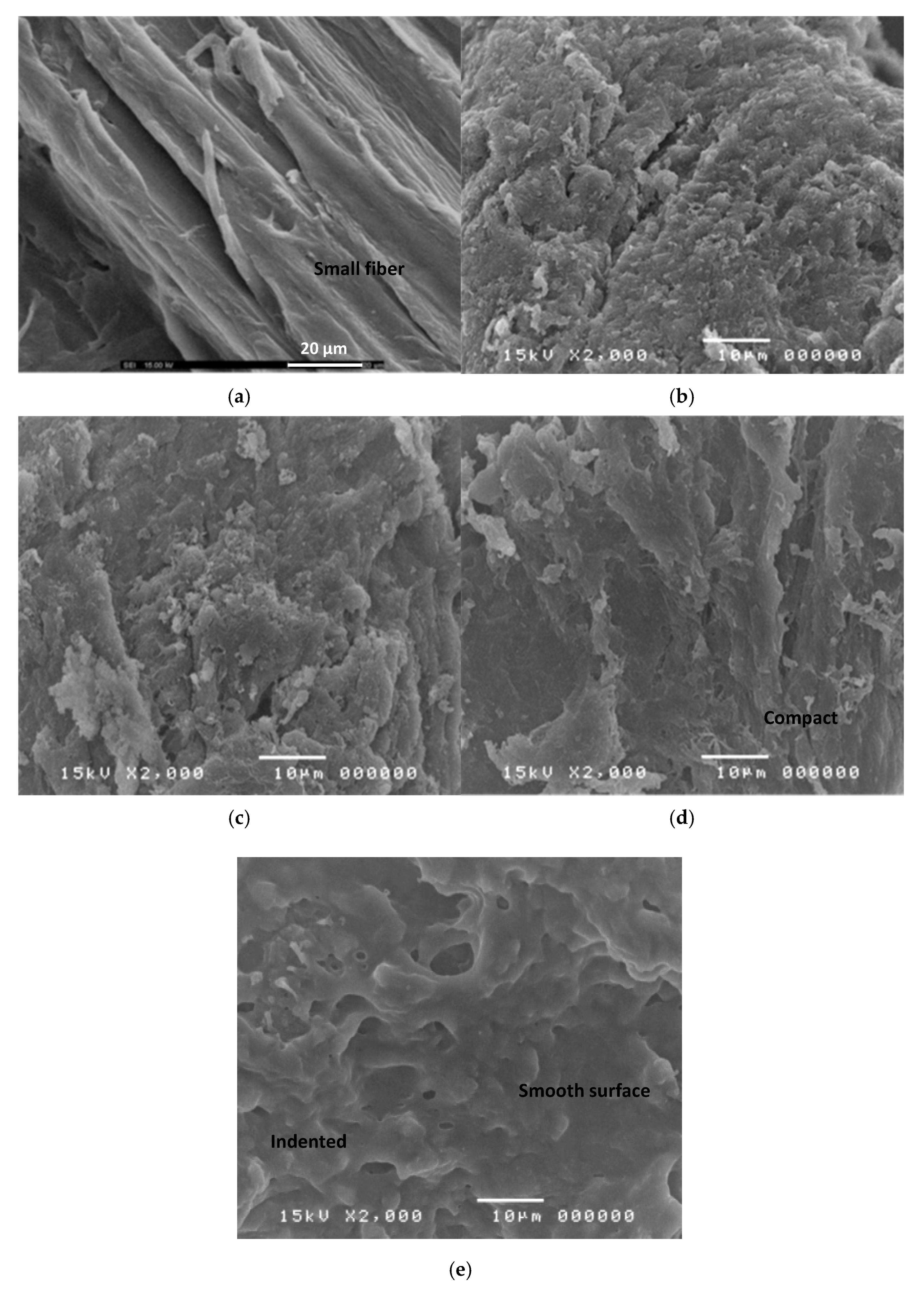 Polymers 13 00488 g006 Polymers 13 00488 g006