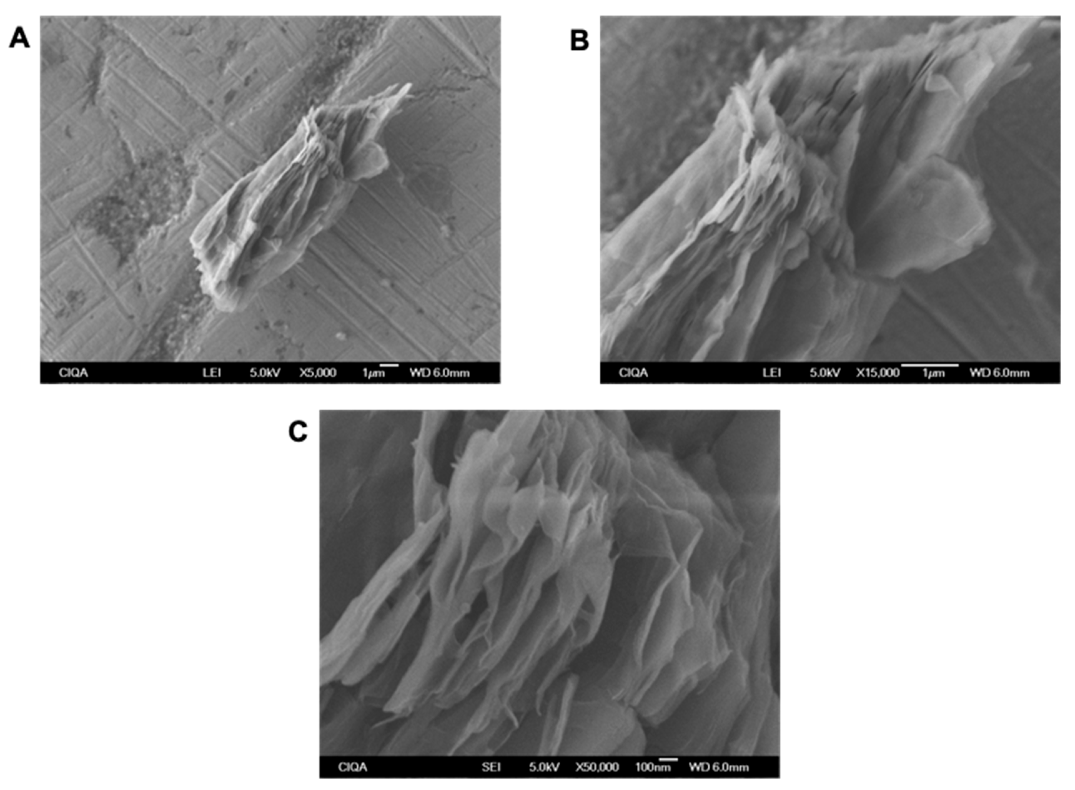 Polymers 13 00490 g007