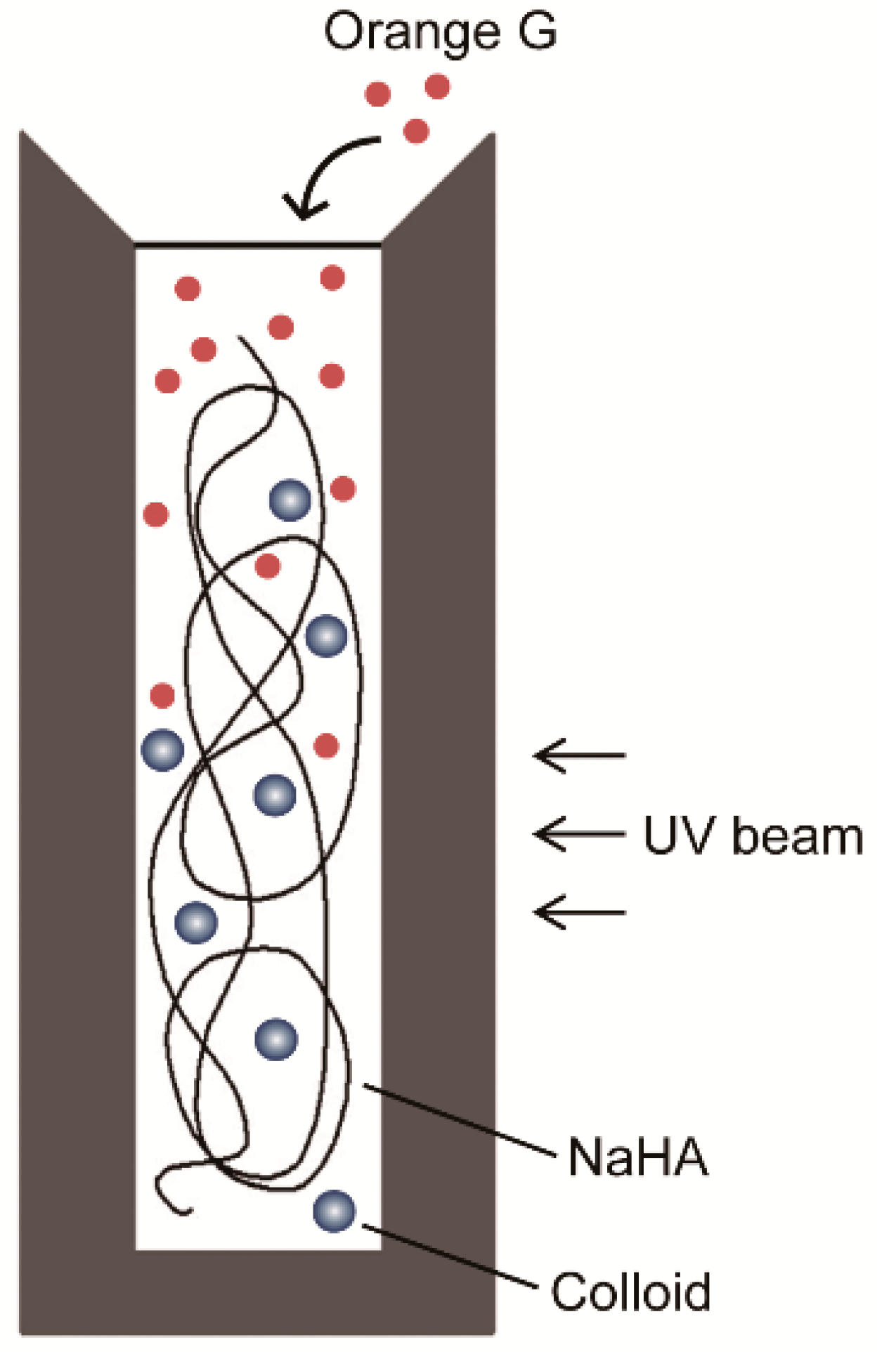 Polymers 13 00514 g001