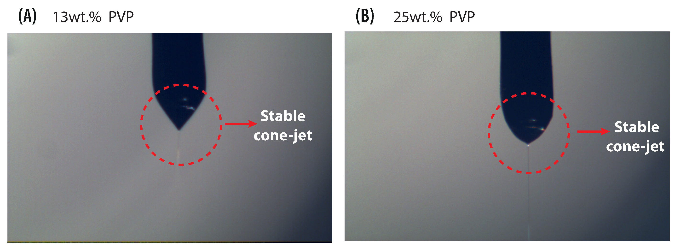 Polymers 13 00529 g007