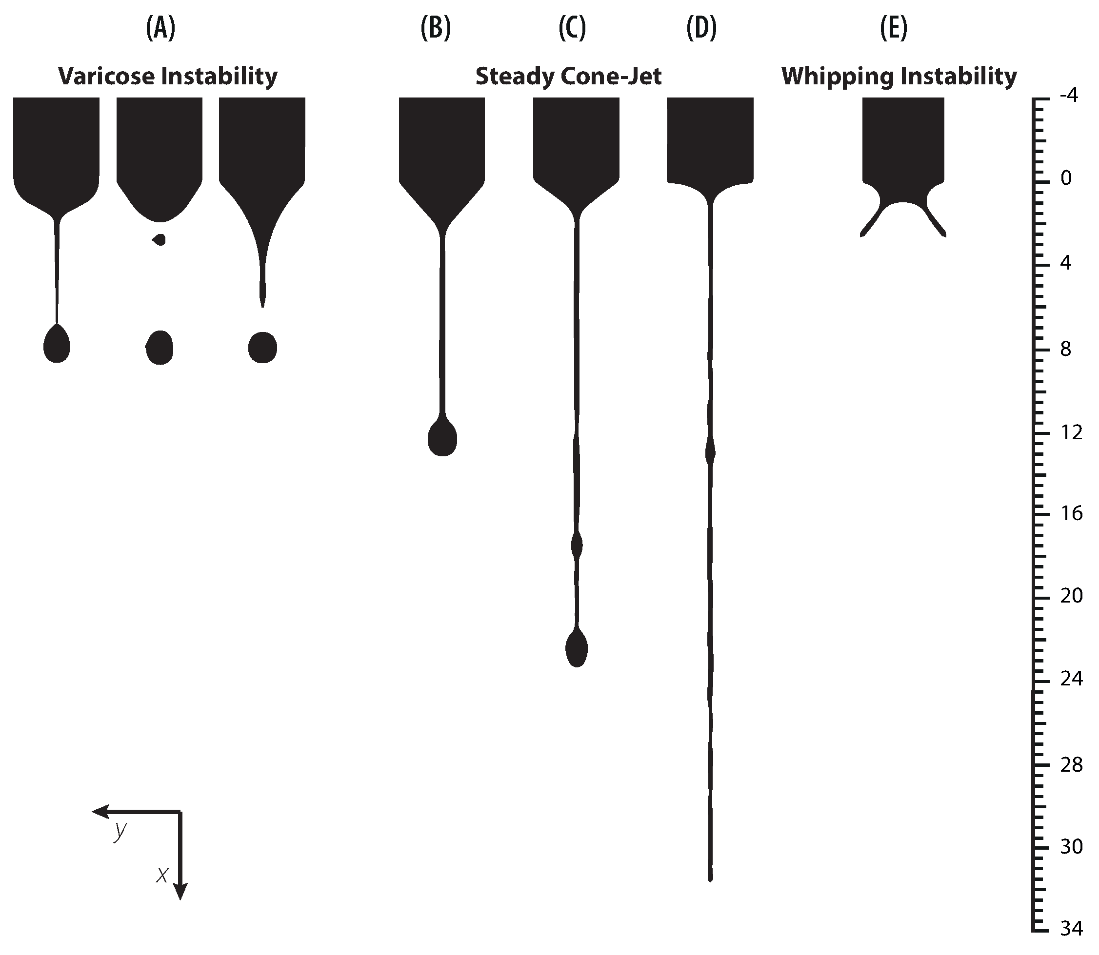 Polymers 13 00529 g010