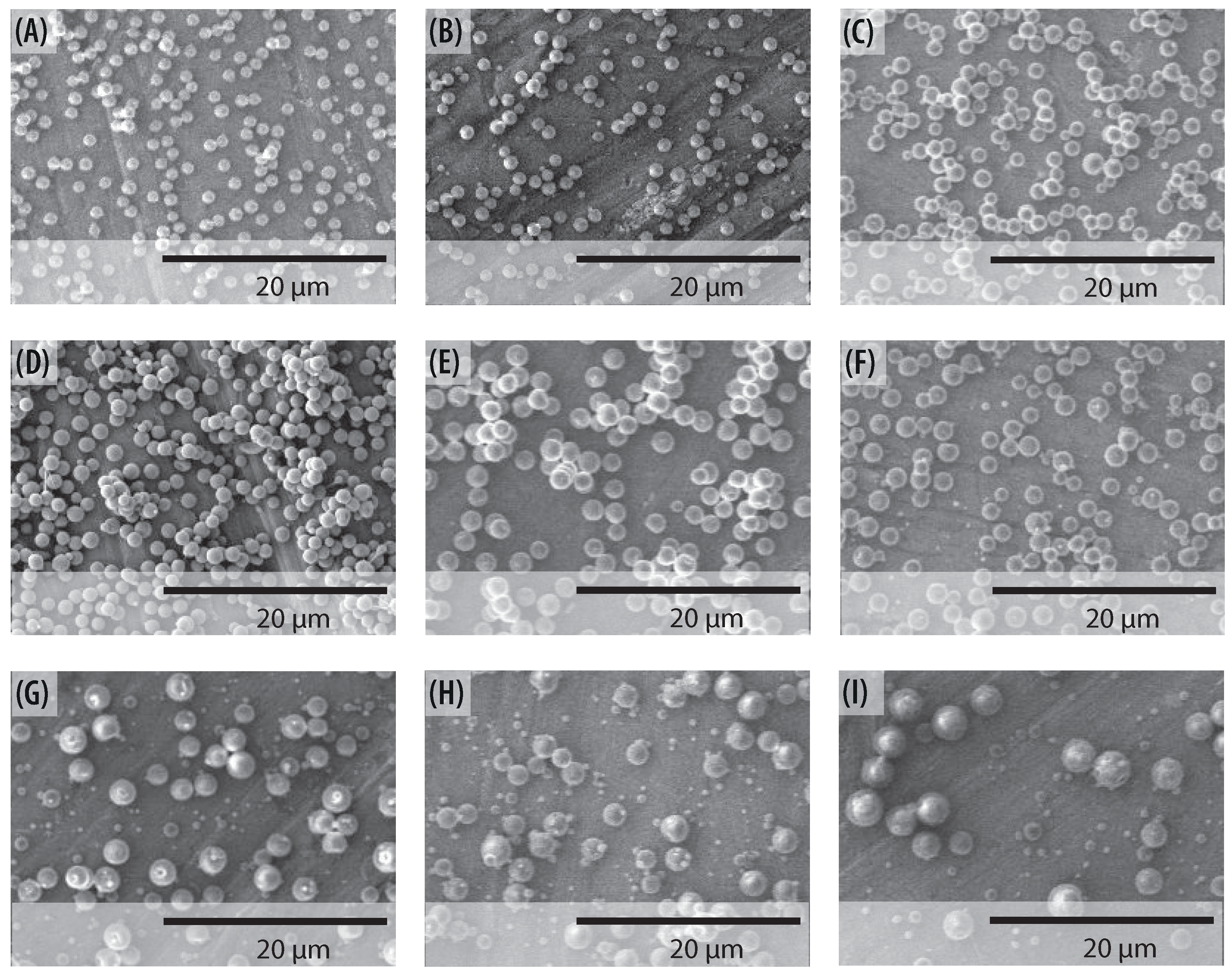 Polymers 13 00529 g014
