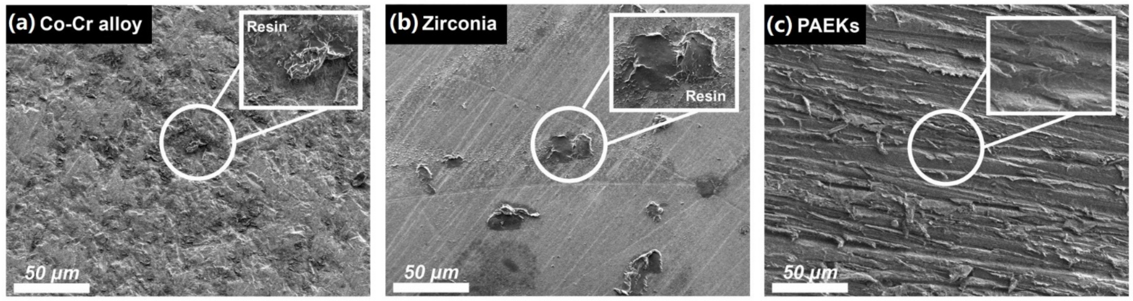 Polymers 13 00543 g004