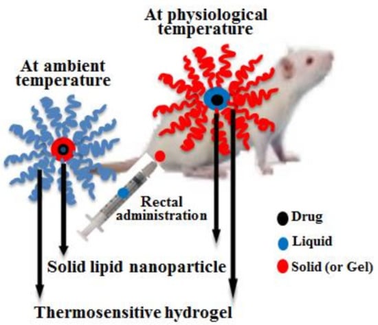 Polymers Free Full Text Particle And Gel Characterization Of Irinotecan Loaded Double