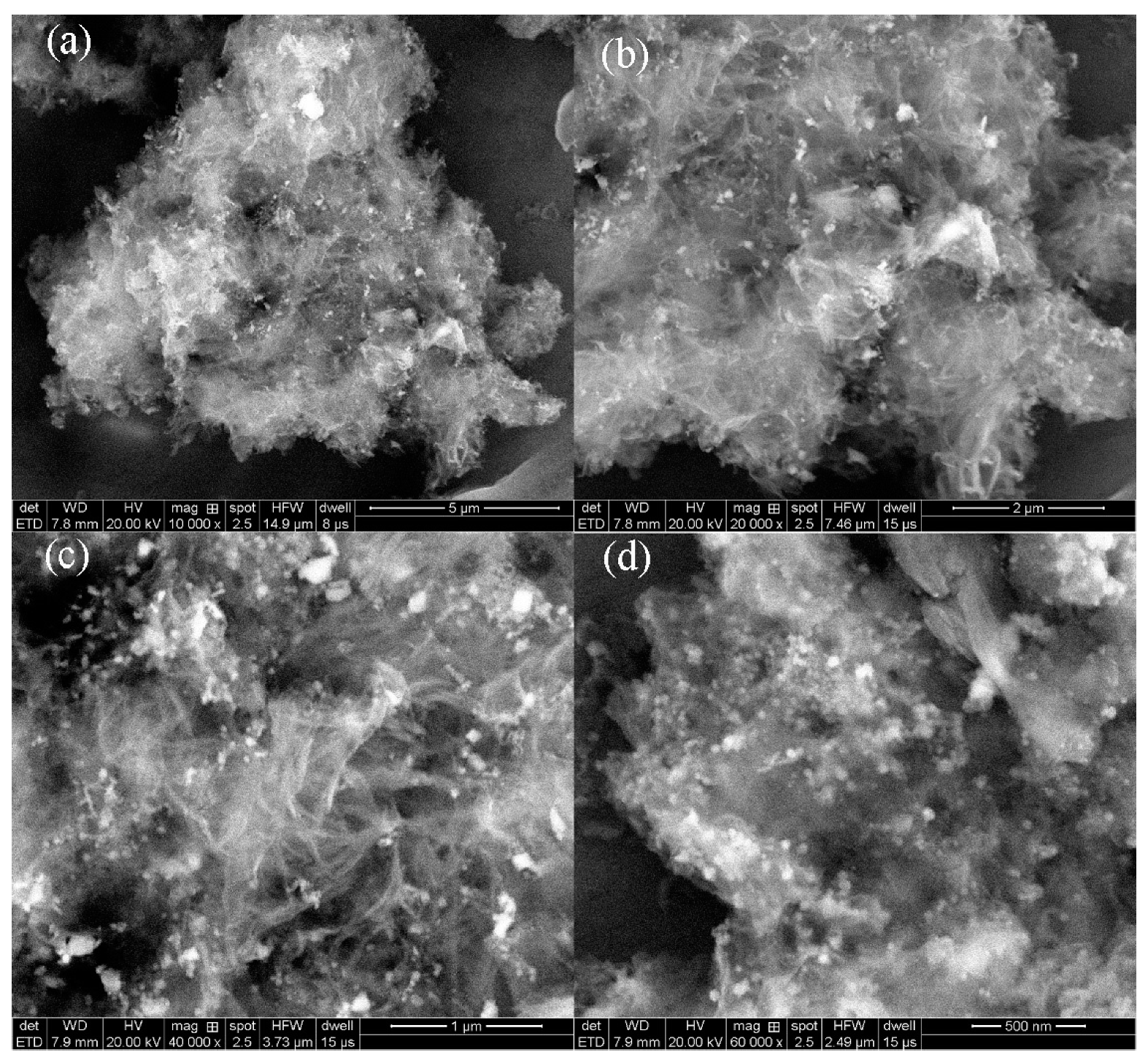 Polymers 13 00558 g001