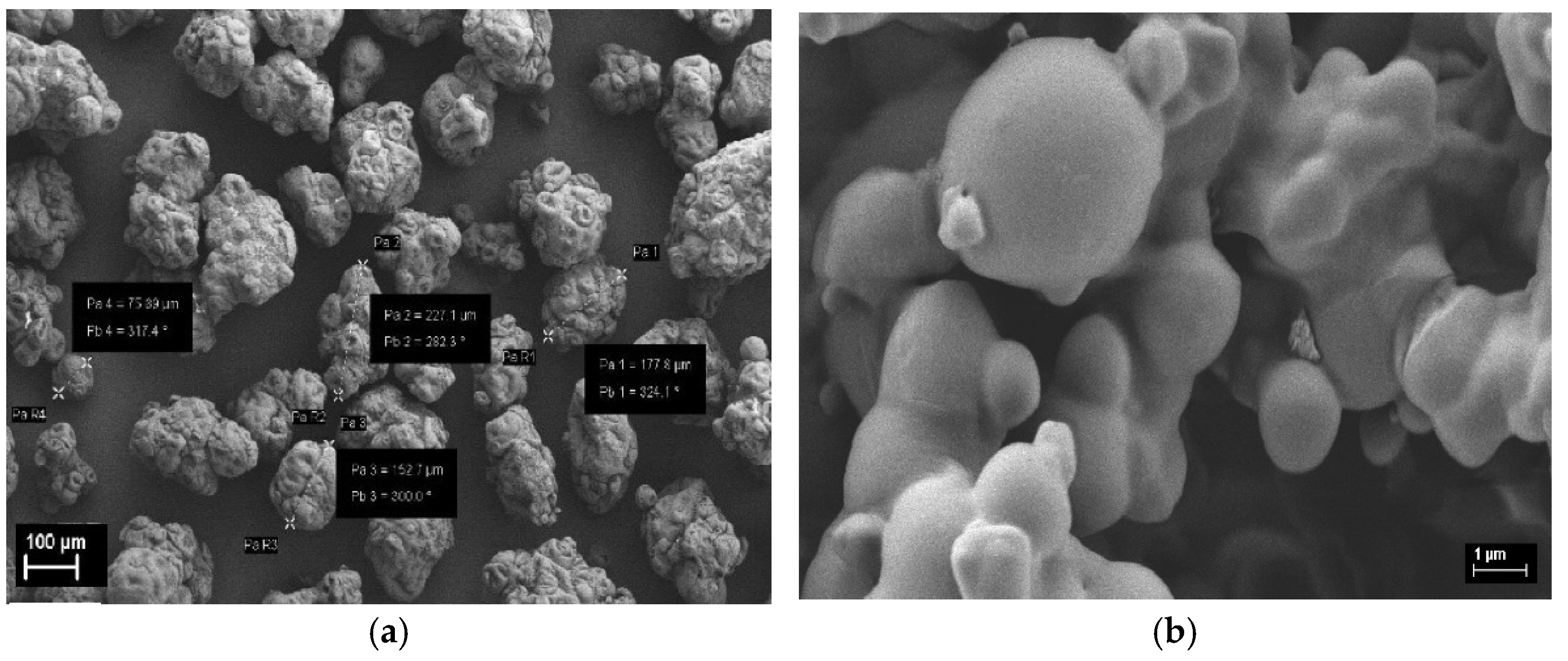 Polymers 13 00565 g001 Polymers 13 00565 g001