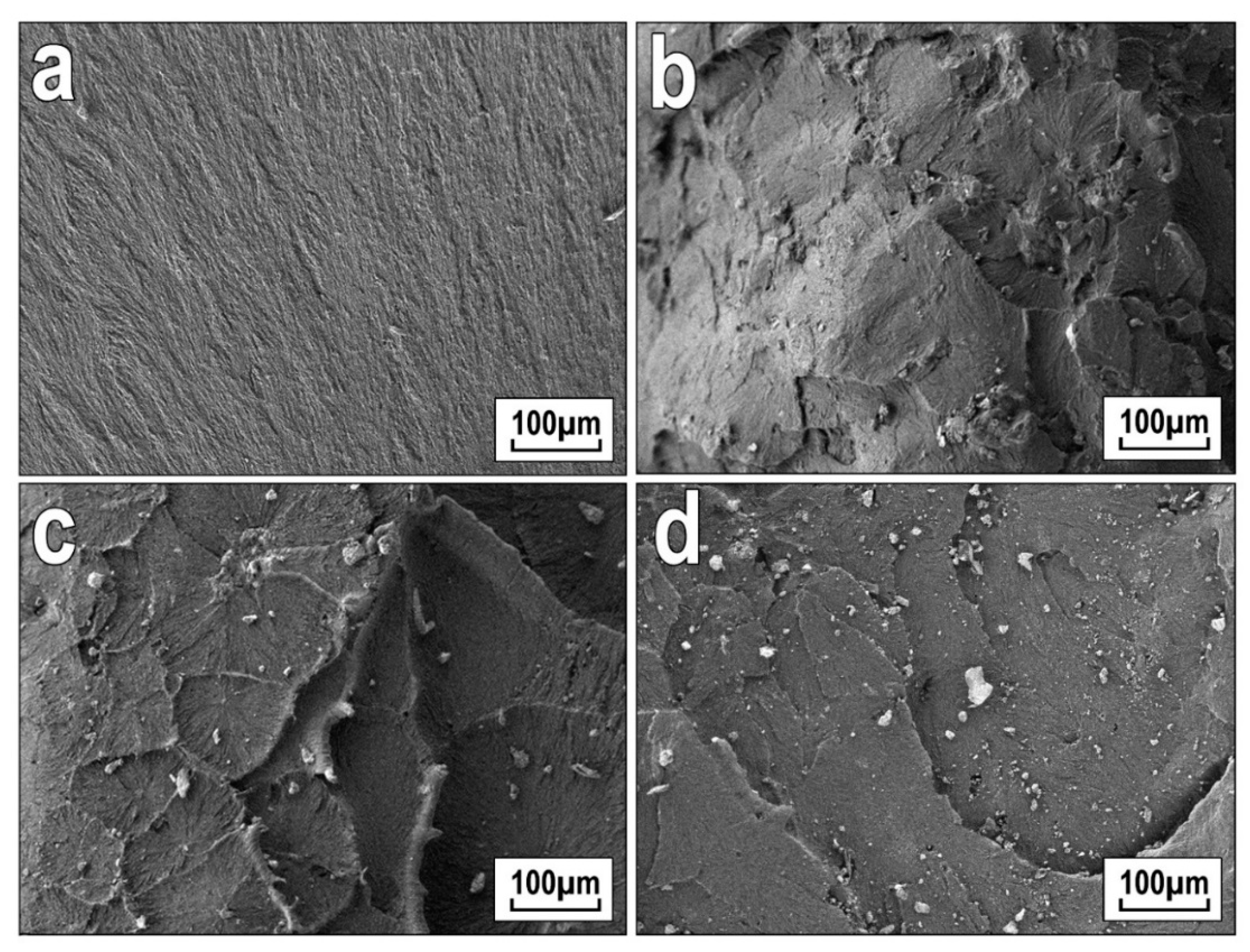 Polymers 13 00570 g006 Polymers 13 00570 g006