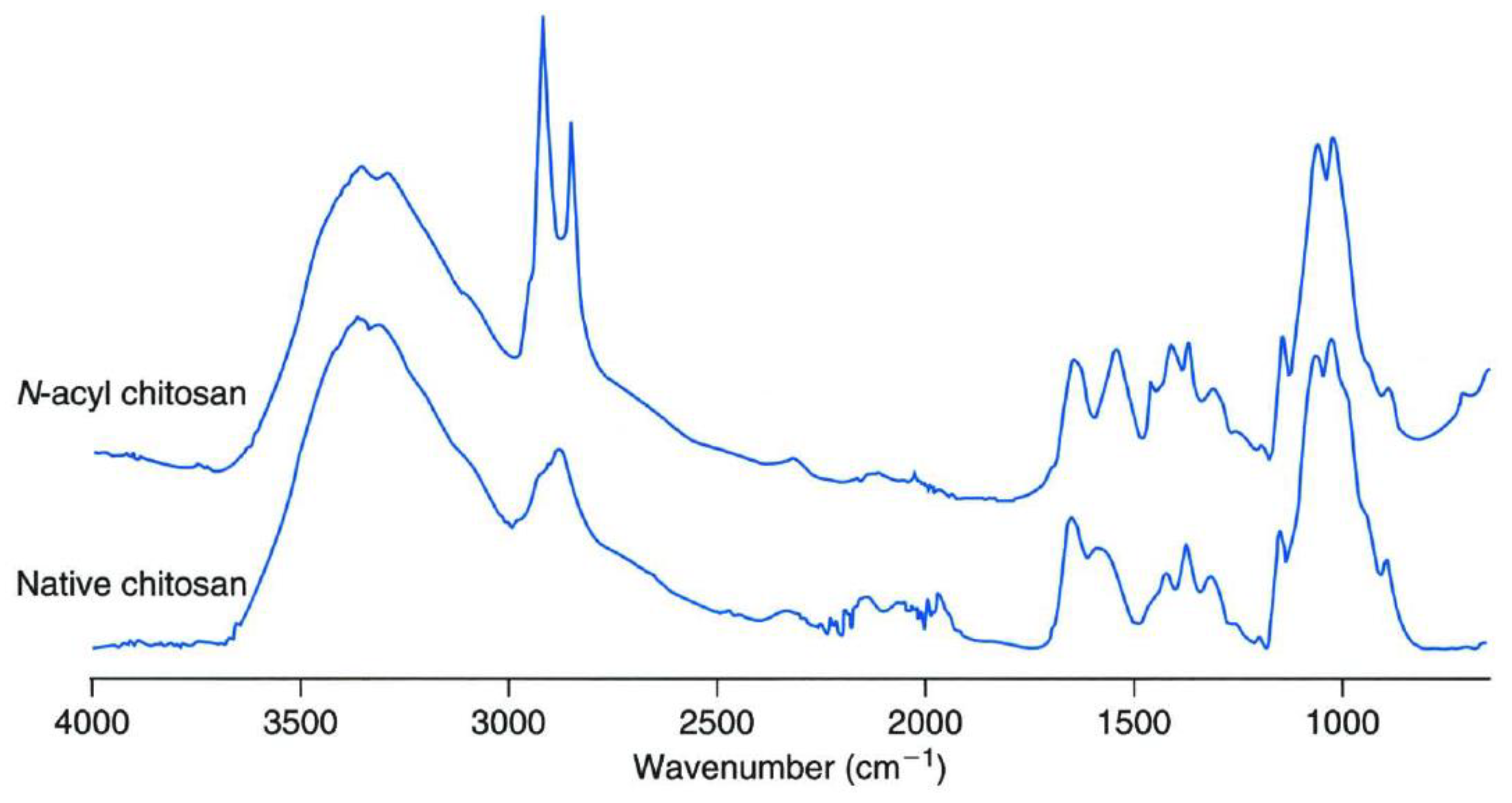 Polymers 13 00575 g020 Polymers 13 00575 g020