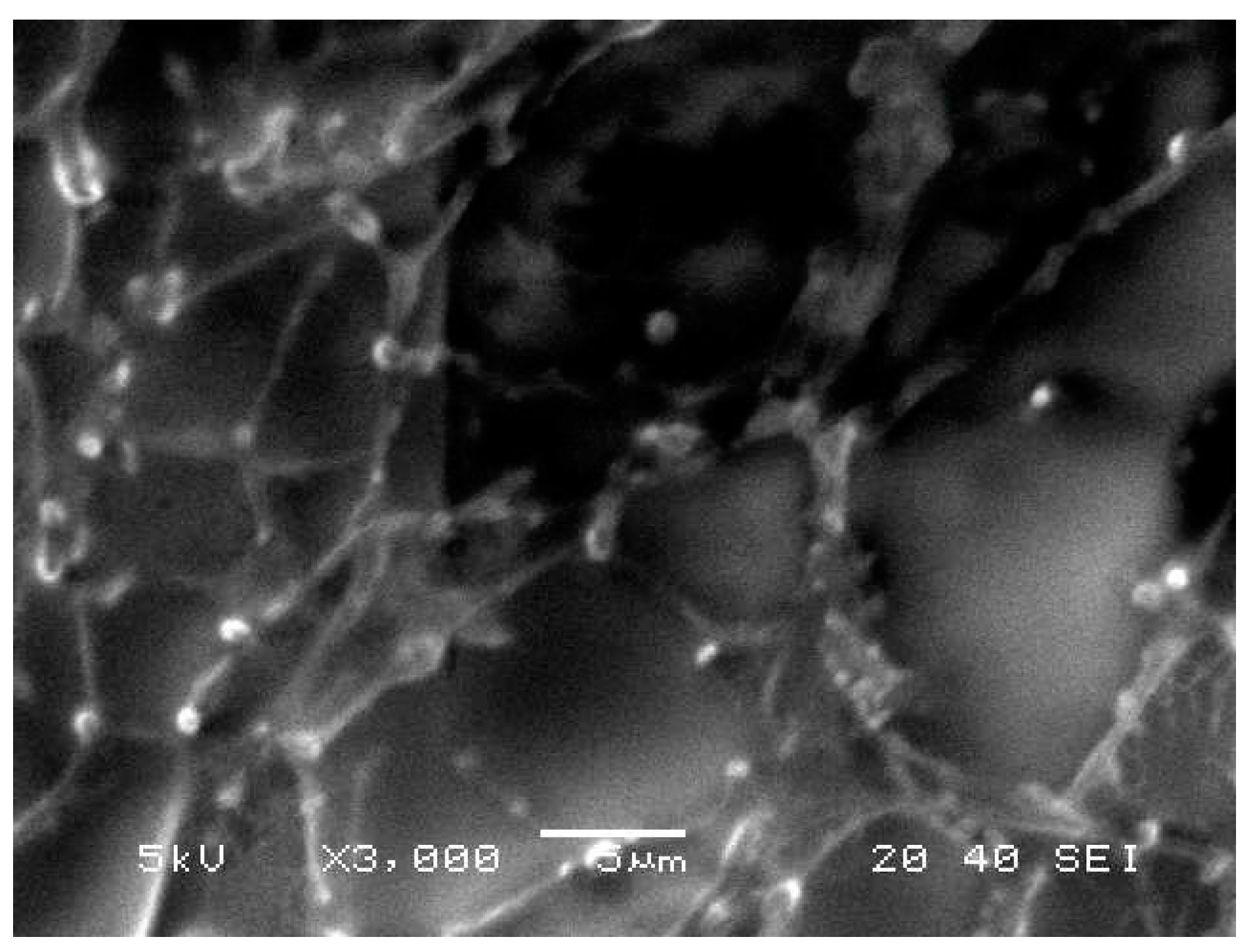 Polymers 13 00577 g003 Polymers 13 00577 g003