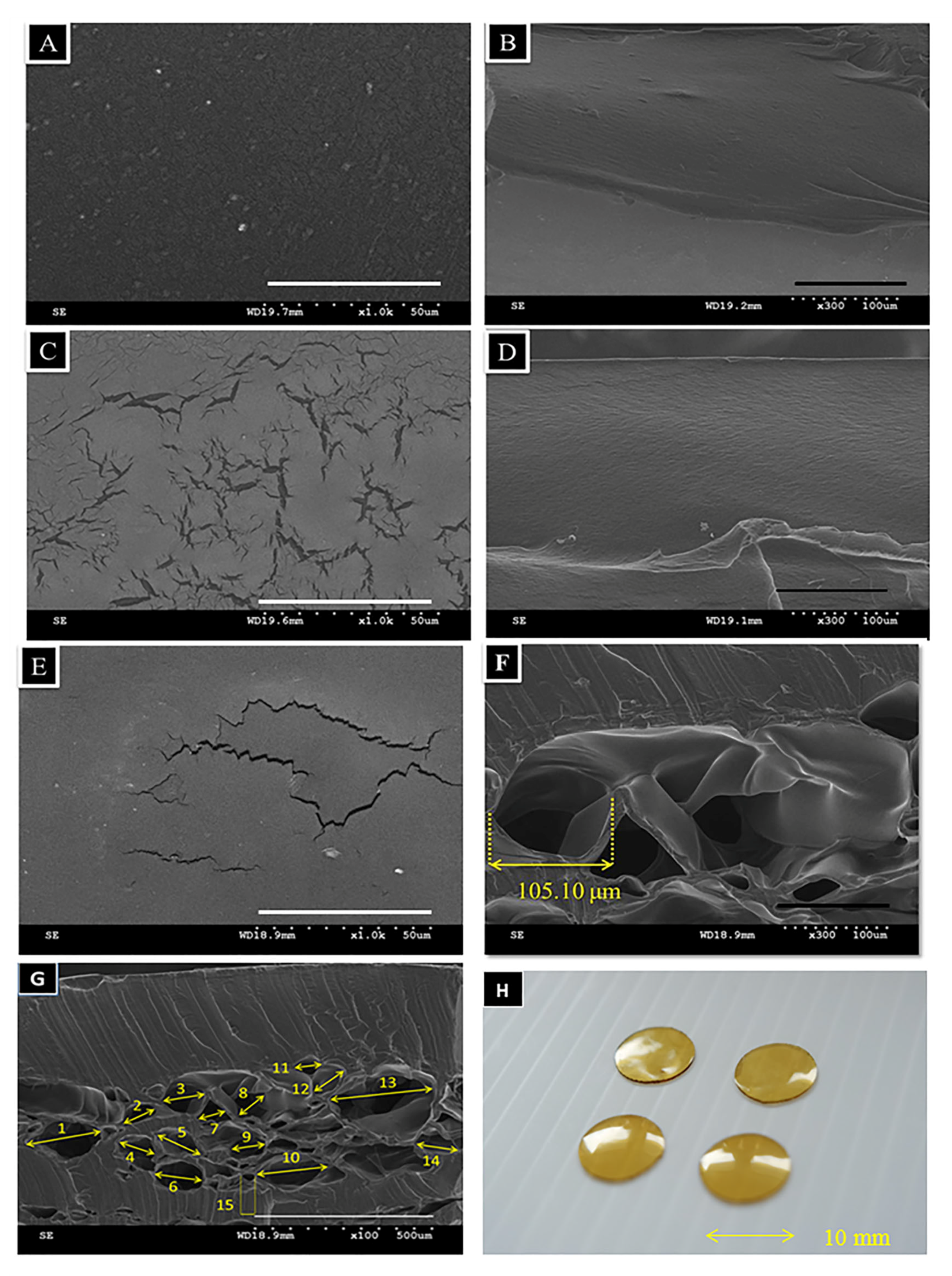 Polymers 13 00579 g002 Polymers 13 00579 g002