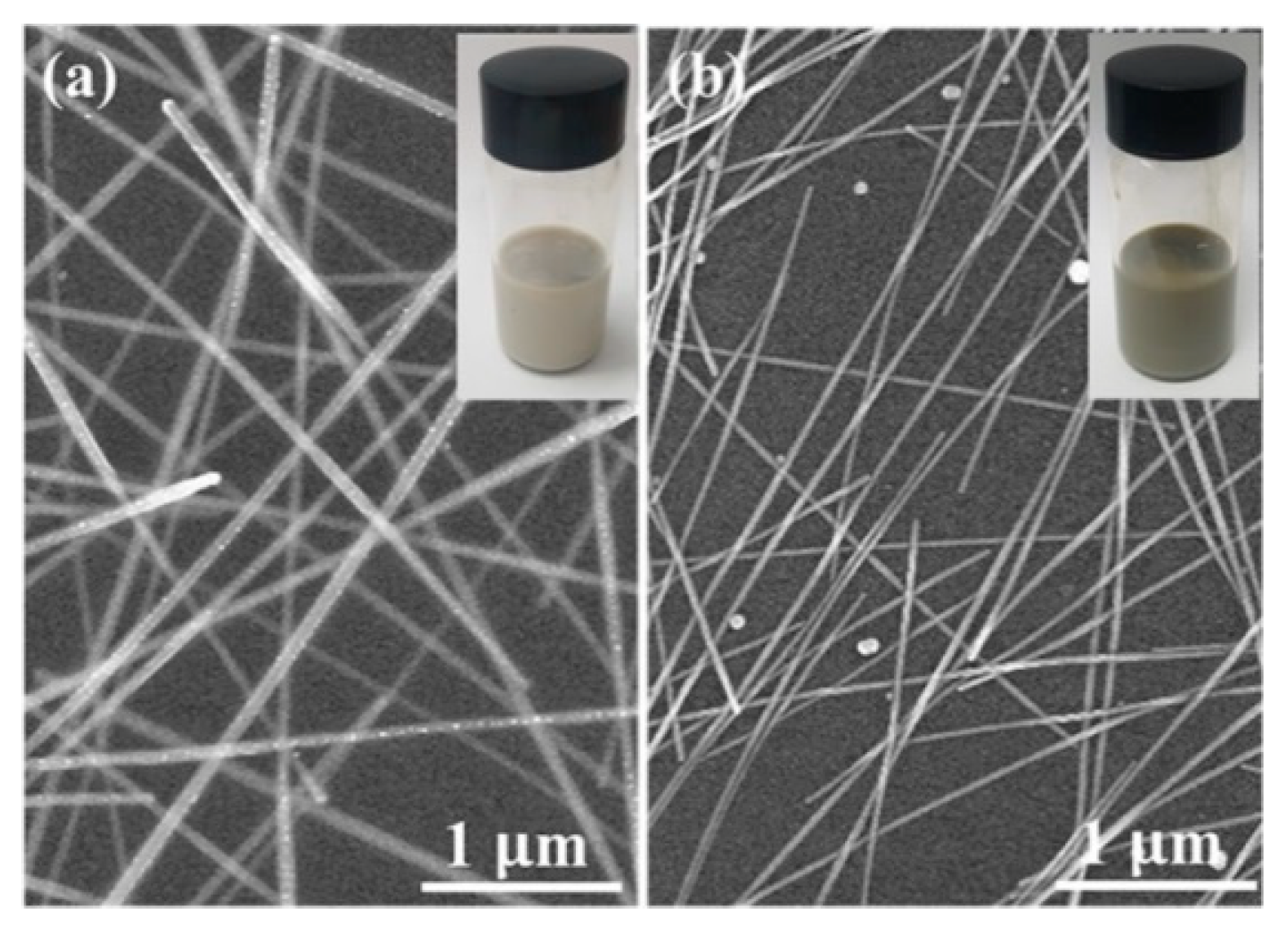 Polymers 13 00586 g001