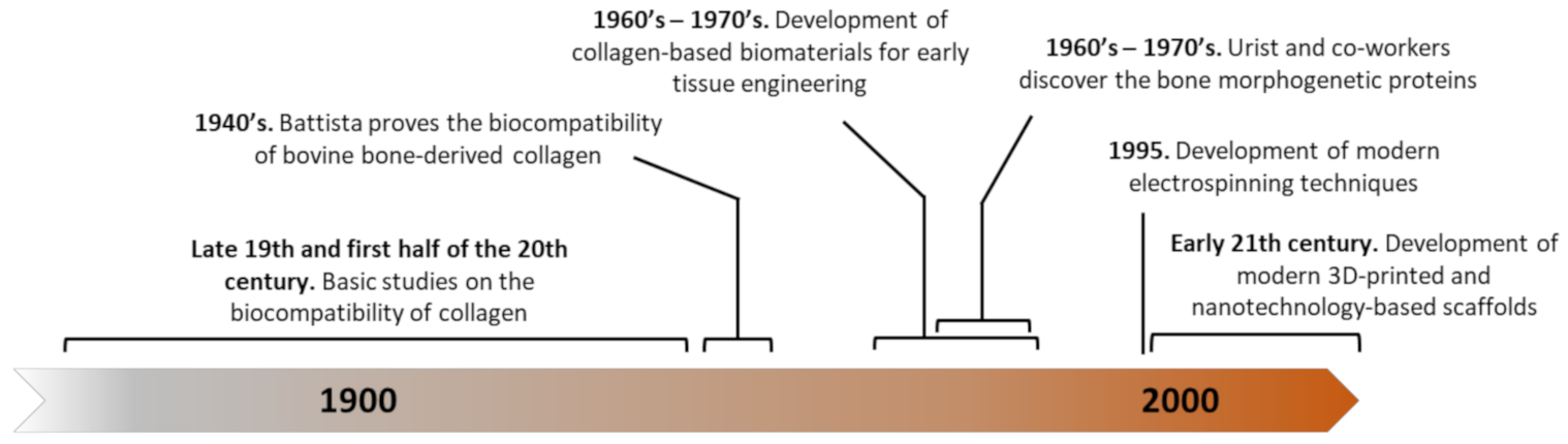 Polymers 13 00599 g002