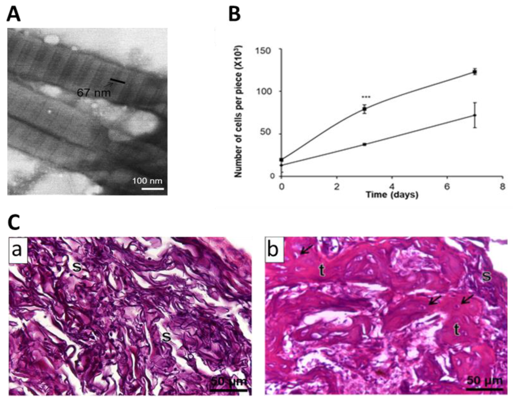 Polymers 13 00599 g003
