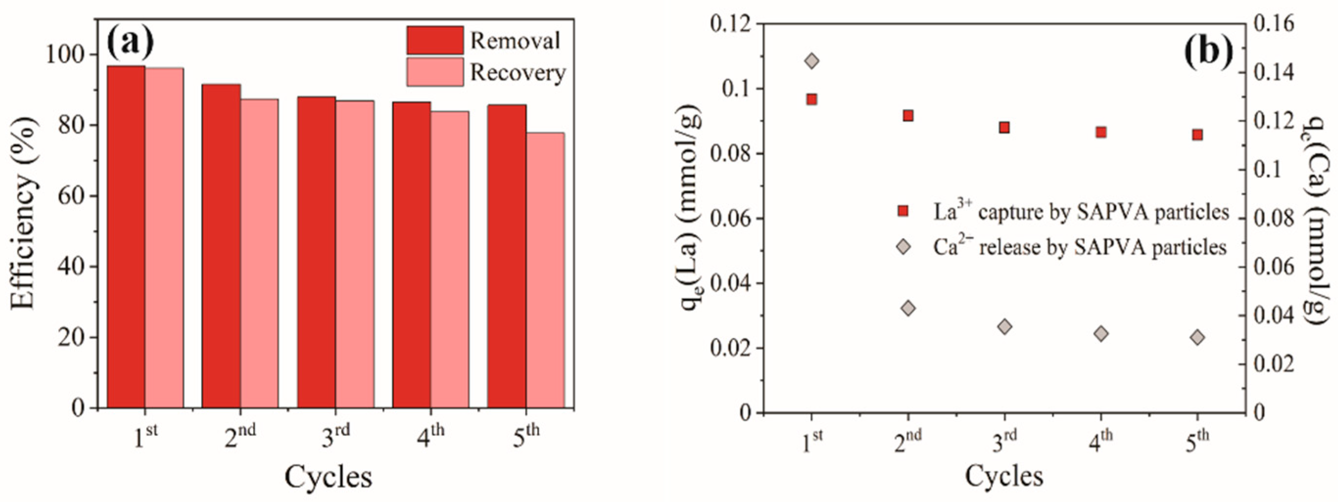 Polymers 13 00623 g003