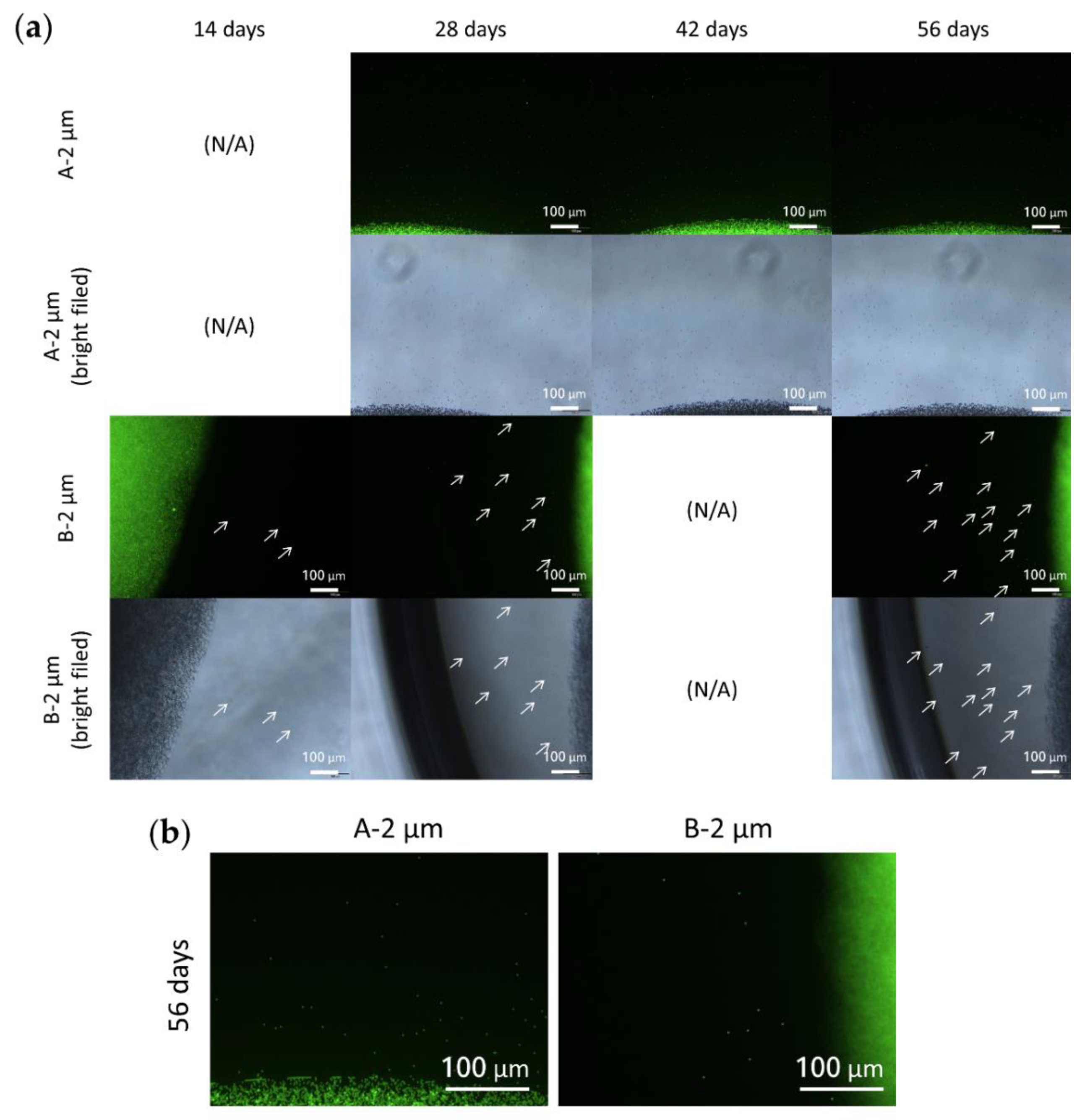Polymers 13 00642 g008