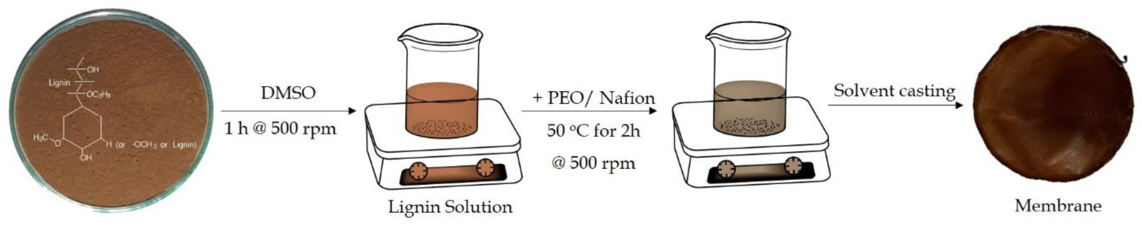 Polymers 13 00643 g002 Polymers 13 00643 g002