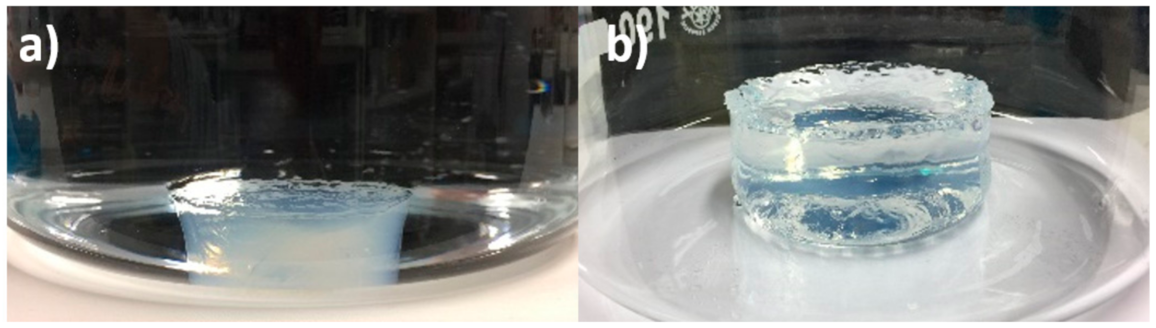 Polymers 13 00645 g007