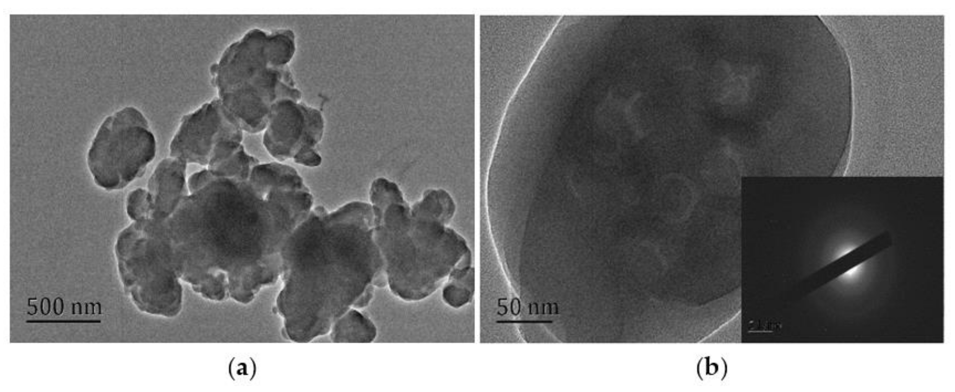 Polymers 13 00673 g006