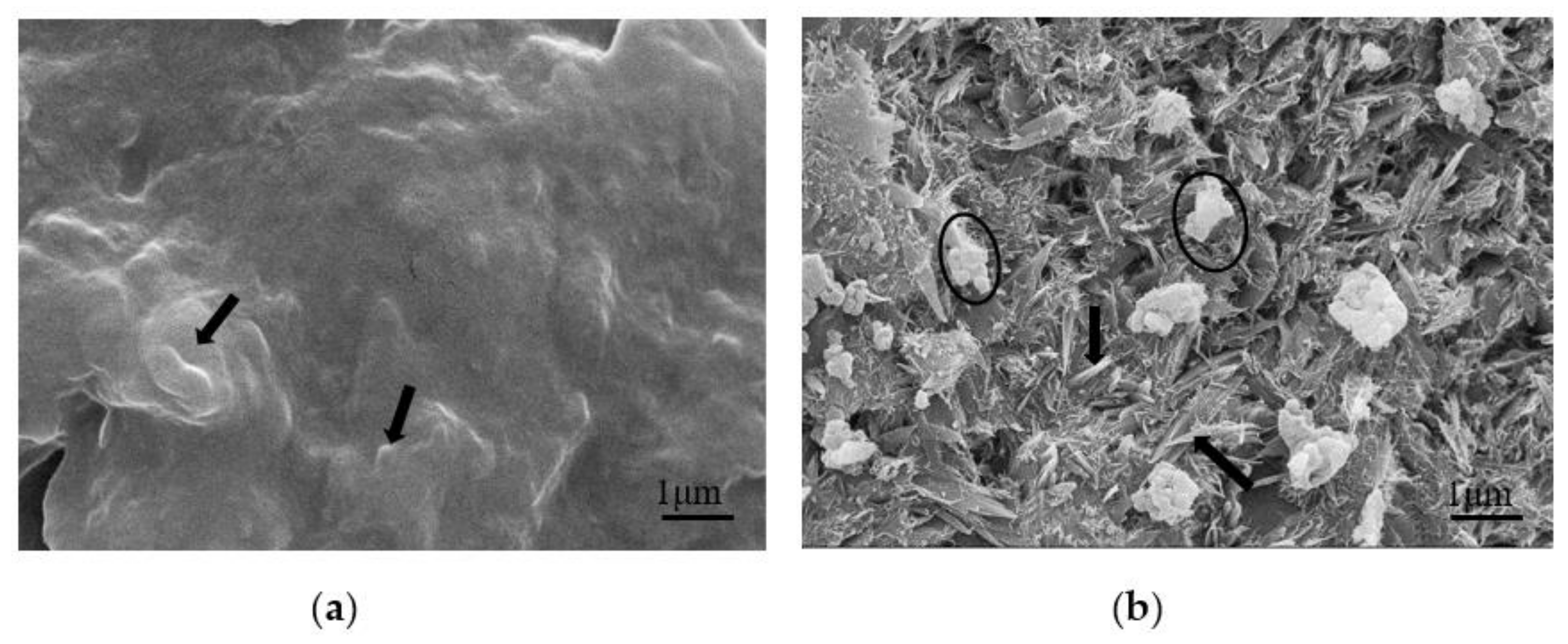 Polymers 13 00673 g007
