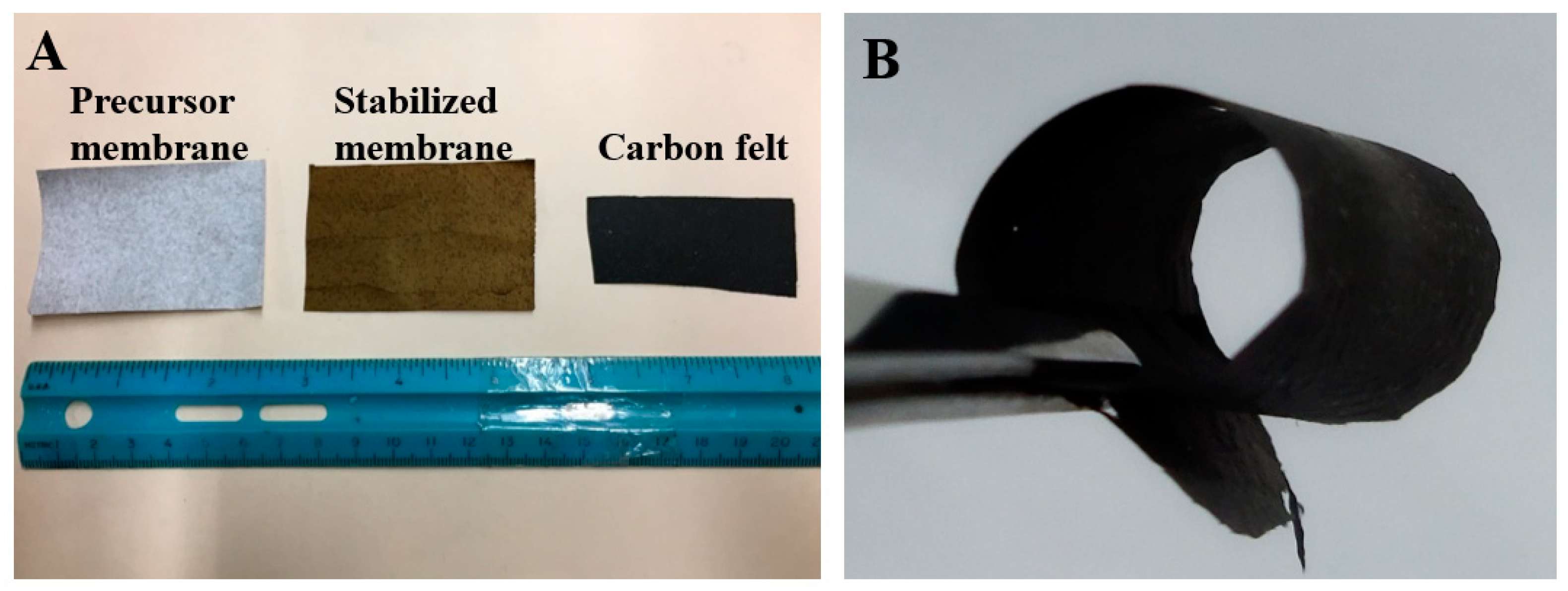 Polymers 13 00676 g002