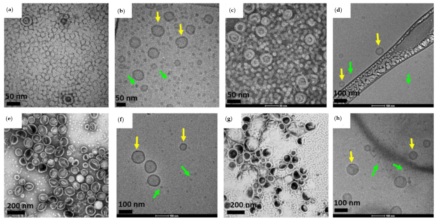 Polymers Free Full Text Supramolecular Functionalizable Linear Dendritic Block Copolymers For The Preparation Of Nanocarriers By Microfluidics Html