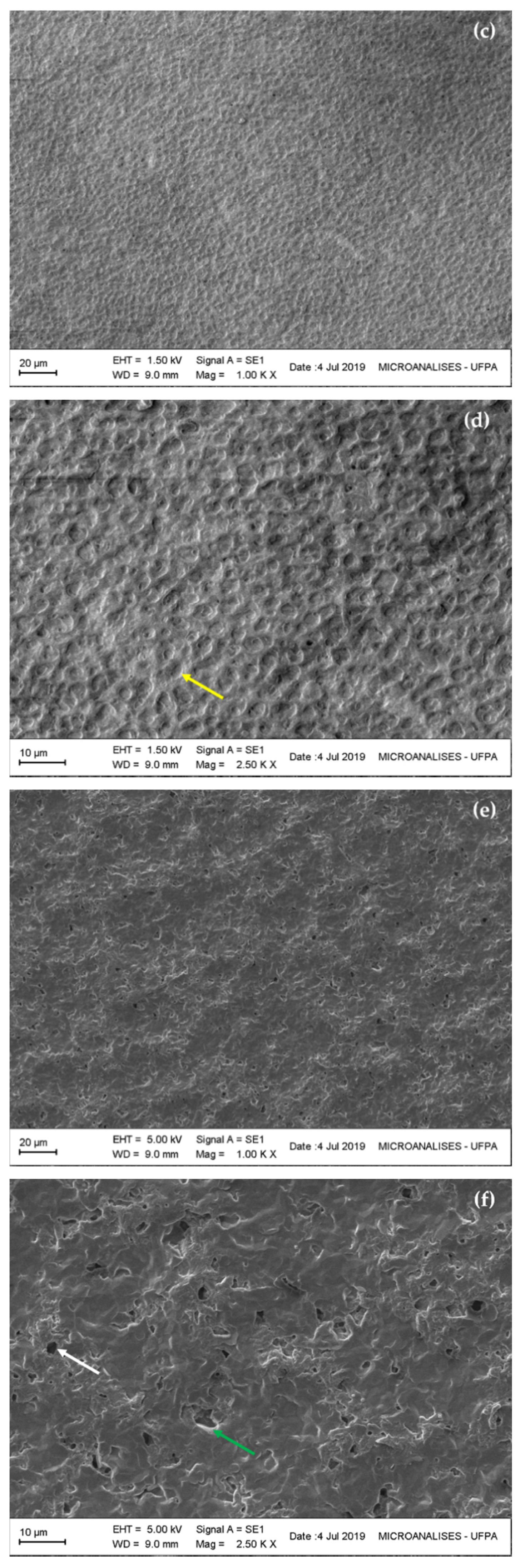 Polymers Free Full Text Characterization And Biotechnological Potential Of Intracellular Polyhydroxybutyrate By Stigeoclonium Sp B23 Using Cassava Peel As Carbon Source Html