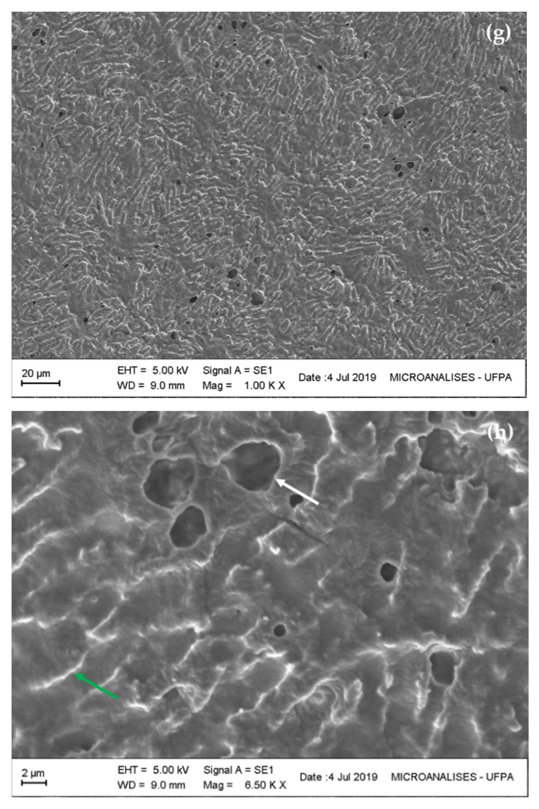 Polymers 13 00687 g003c Polymers 13 00687 g003c
